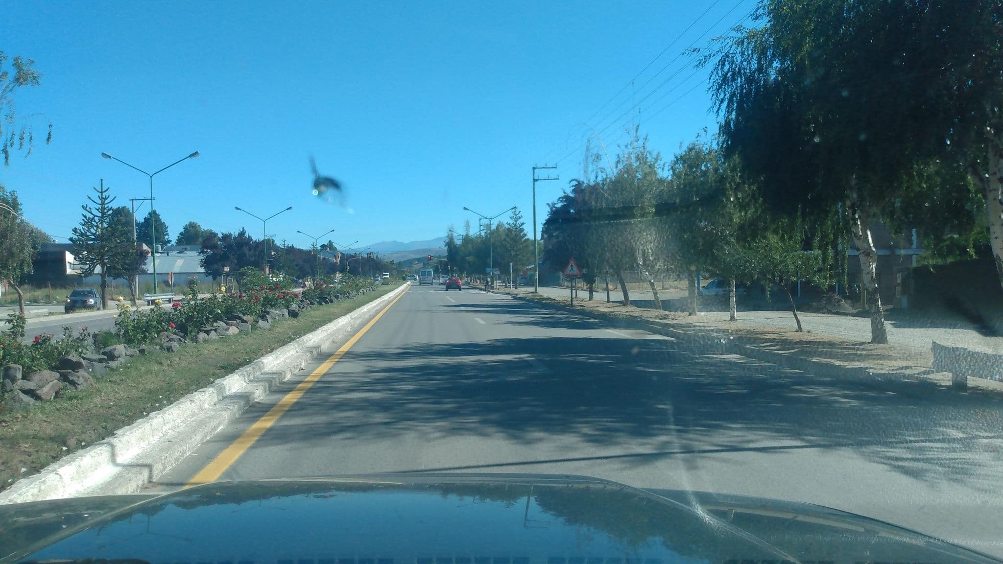 Street view near Hotel Residencial Marisa, Junín de los Andes — © andresduhour (CC BY-SA · Mapillary)