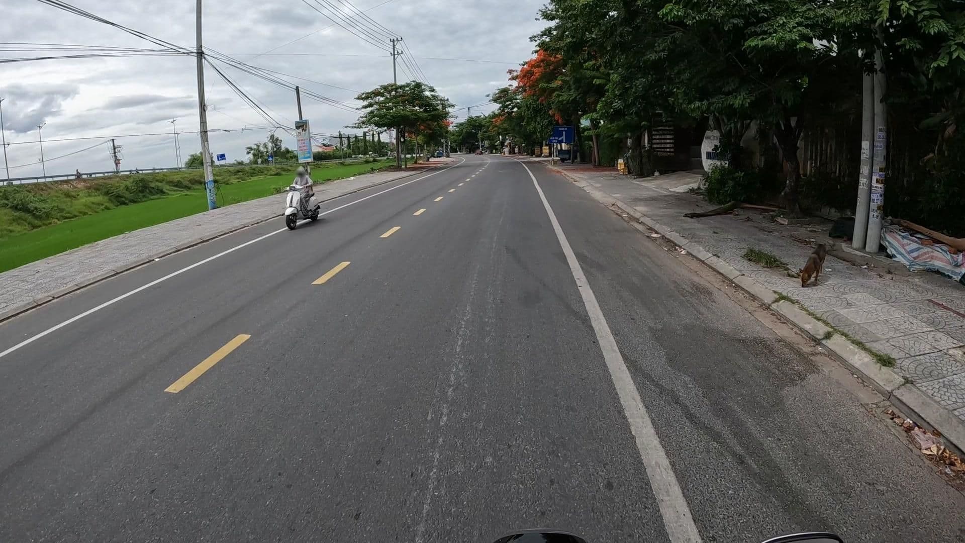 Street view near Hoi An Reverie Villas, Hoi An — © lucomsky (CC BY-SA · Mapillary)