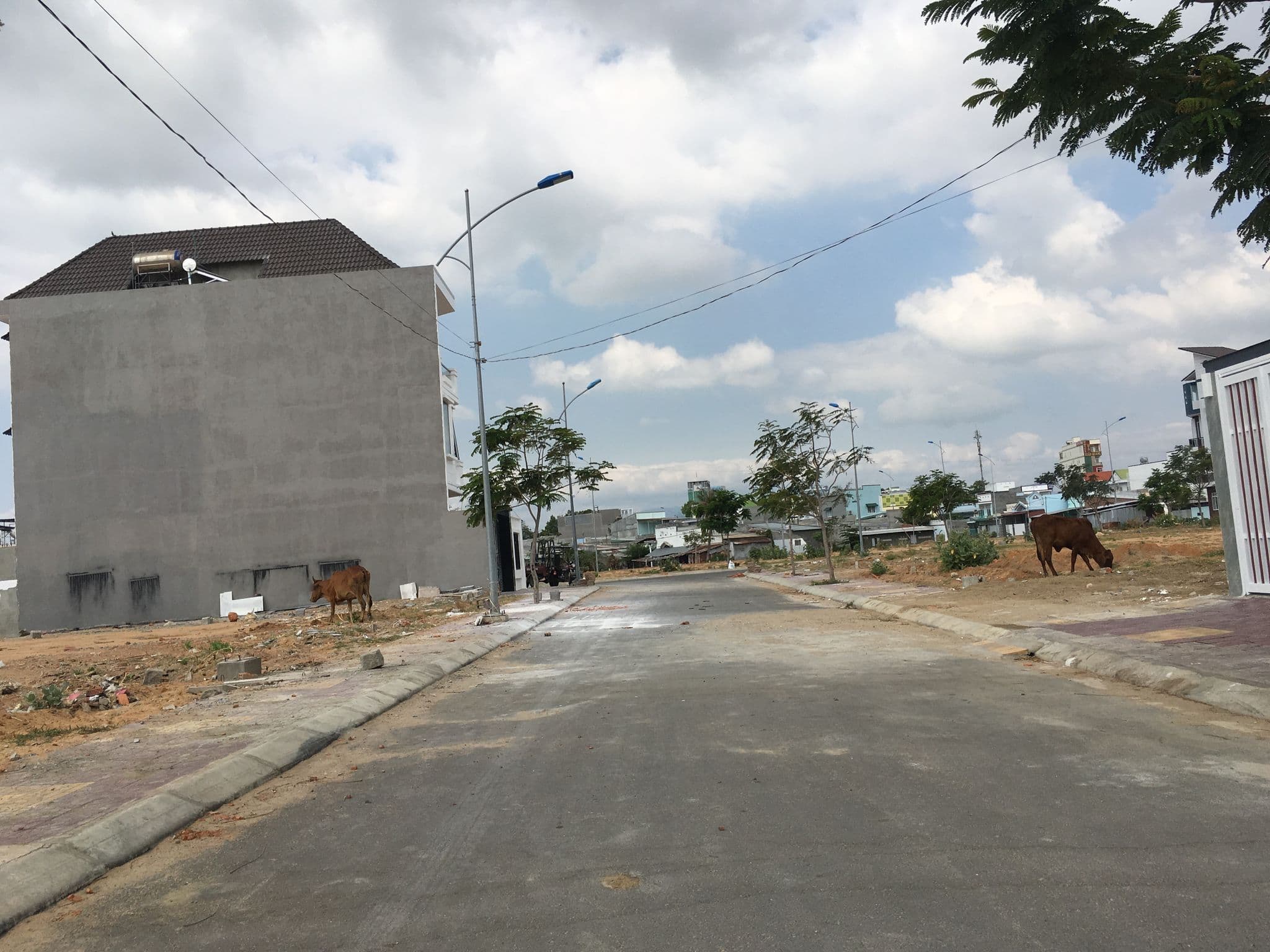 Street view near Vision Hotel, Phan Rang-Tháp Chàm — © theboman01 (CC BY-SA · Mapillary)