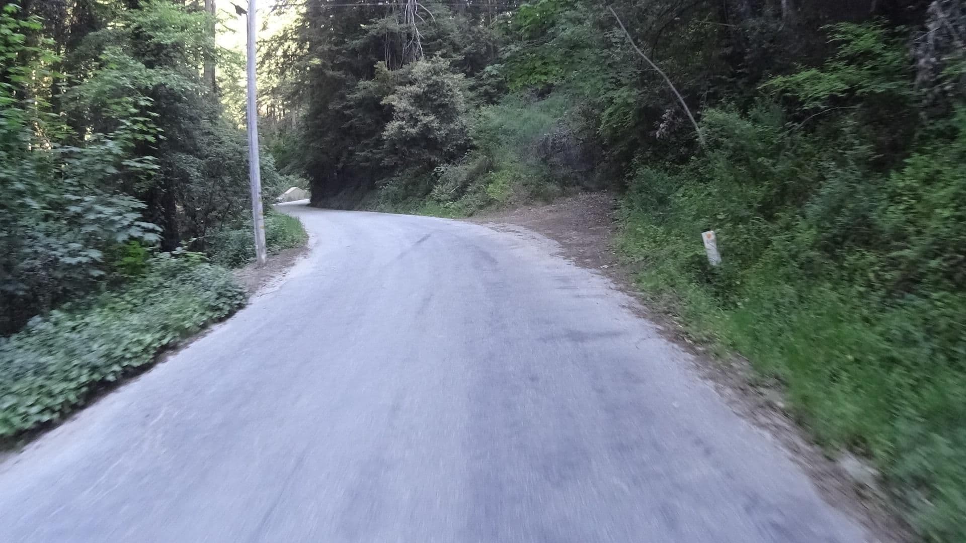 Street view near Love Creek - Entire Place, Ben Lomond — © marker_geo (CC BY-SA · Mapillary)