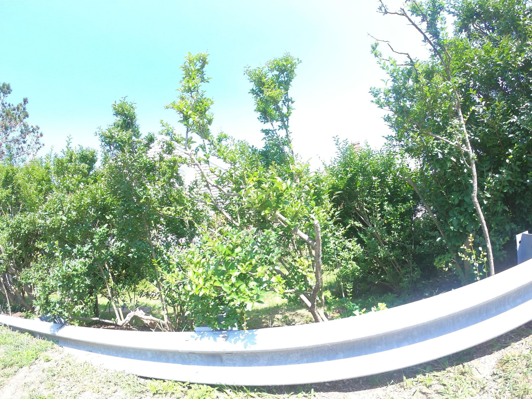 Street view near Sea Breeze Inn, New Shoreham — © roadgeek_md99 (CC BY-SA · Mapillary)