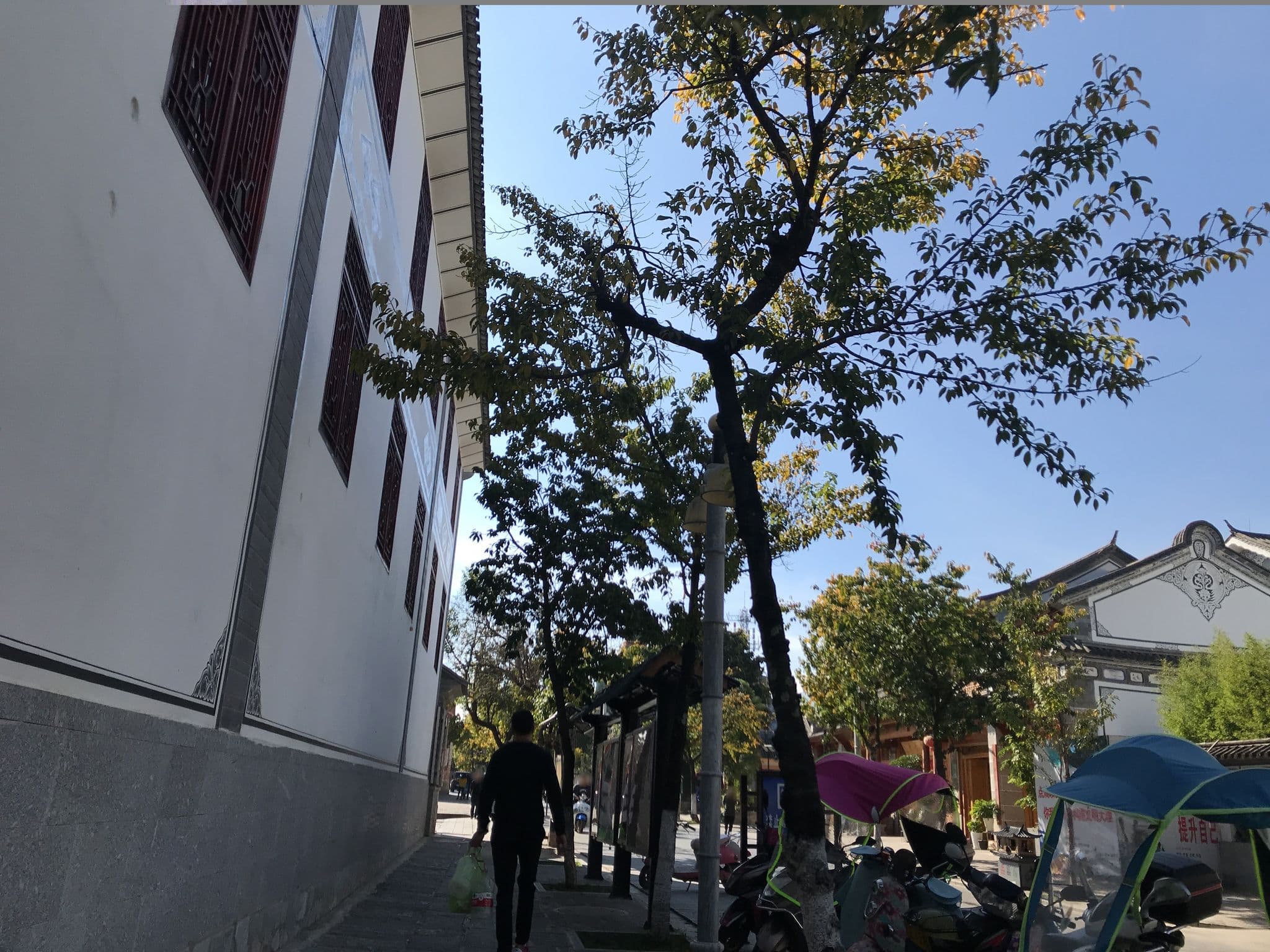 Street view near 大理古榕会馆, Dali Old Town — © tao (CC BY-SA · Mapillary)