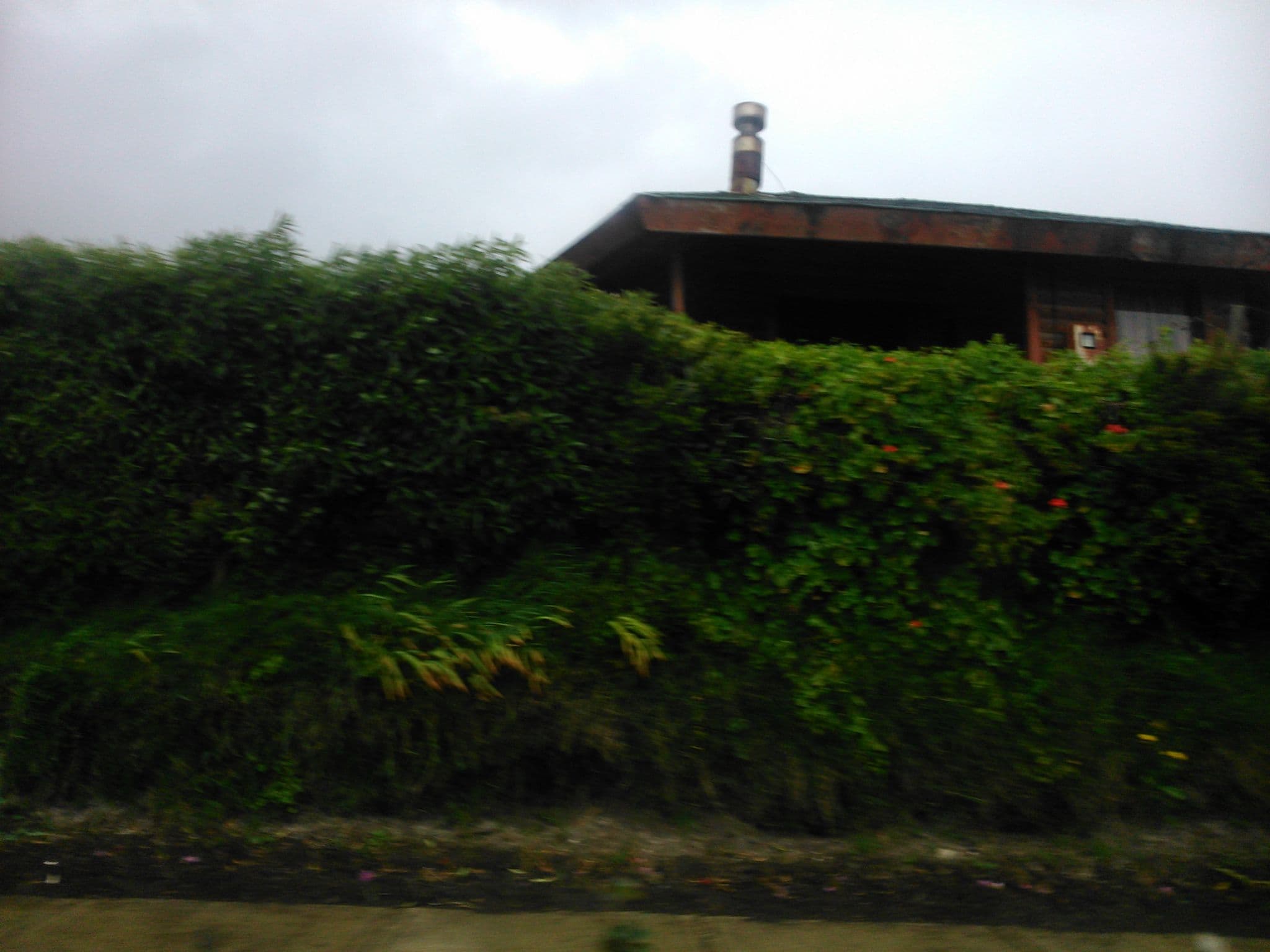 Street view near Cabañas El Triángulo, Saavedra — © dalacost (CC BY-SA · Mapillary)