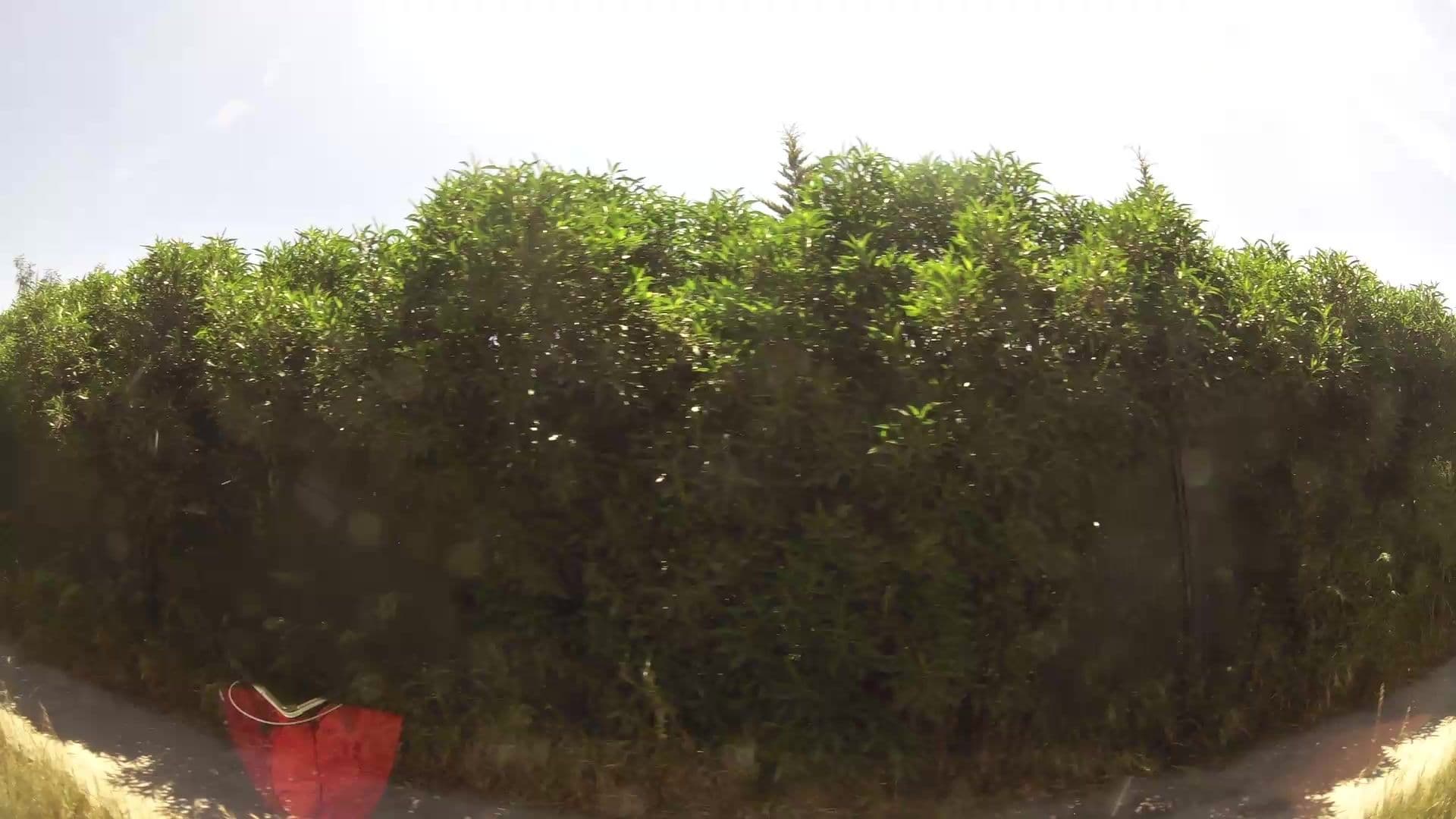 Street view near Camping La Izuelina, Padre Hurtado — © kaartcam (CC BY-SA · Mapillary)