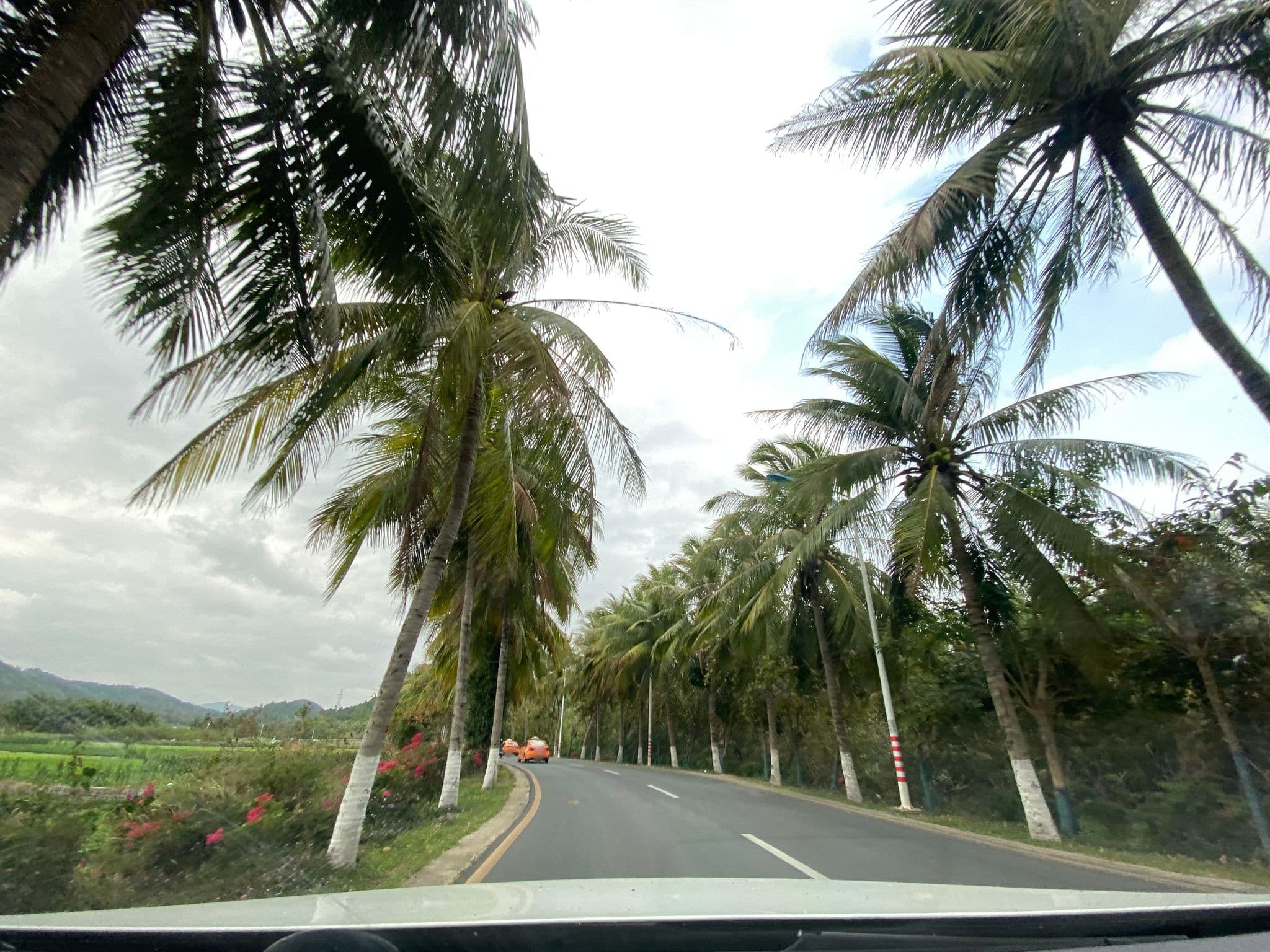 Street view near 三亚乡村人家客栈, Sanya — © adirricor (CC BY-SA · Mapillary)