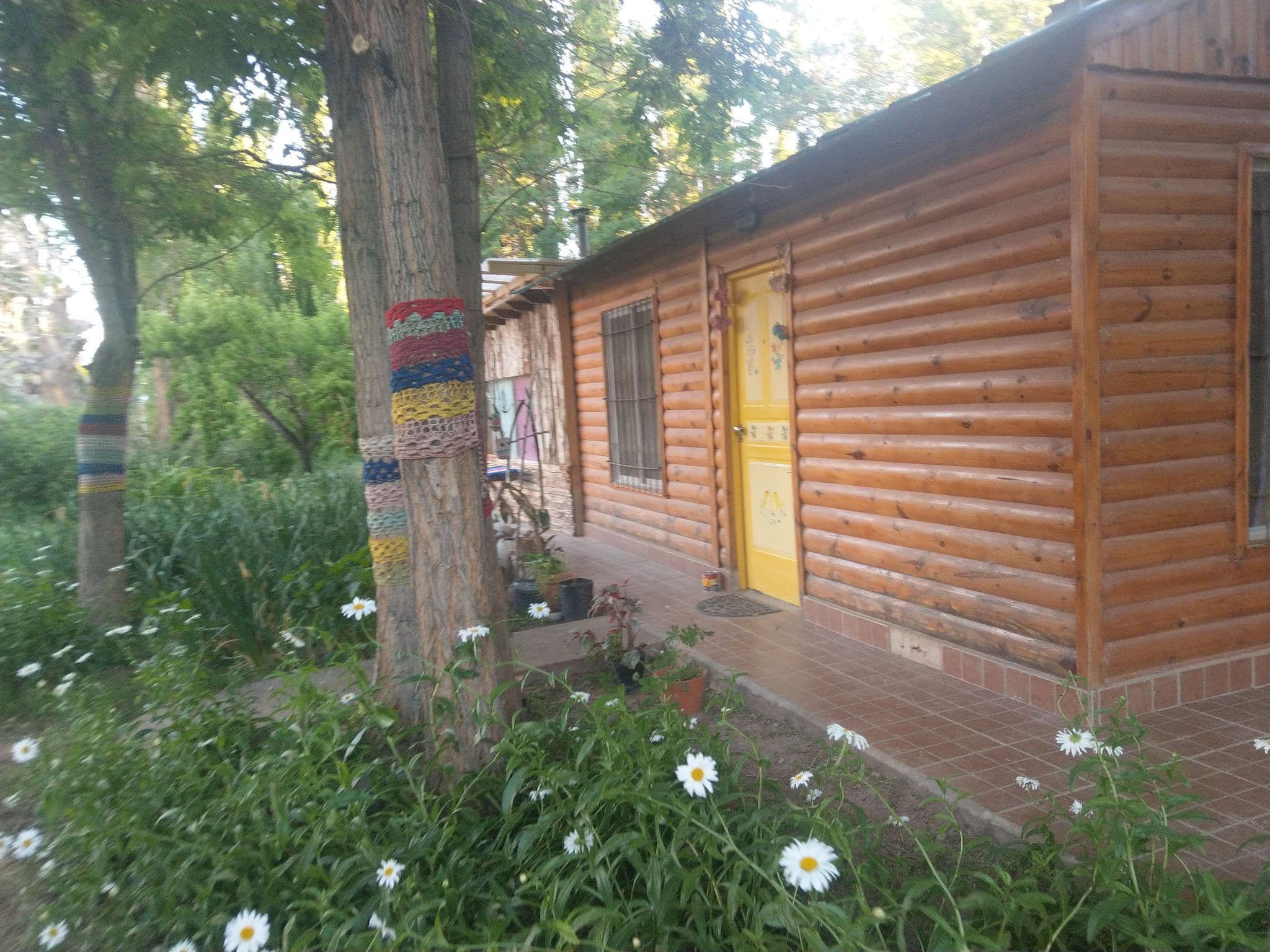 Street view near Rancho Por Fin, Barreal — © deadolus (CC BY-SA · Mapillary)