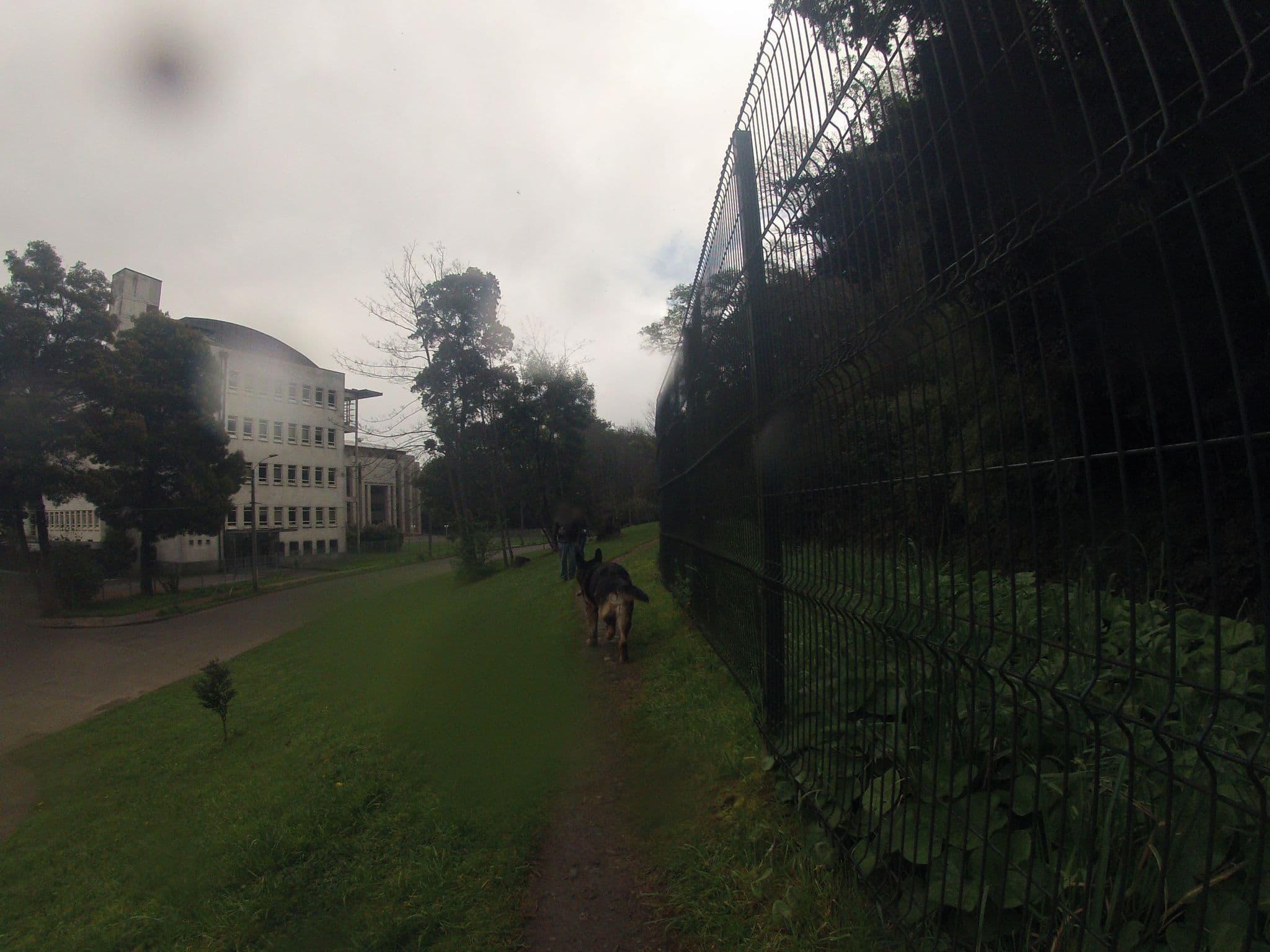 Street view near Hostal Collins House, Temuco — © dalacost (CC BY-SA · Mapillary)