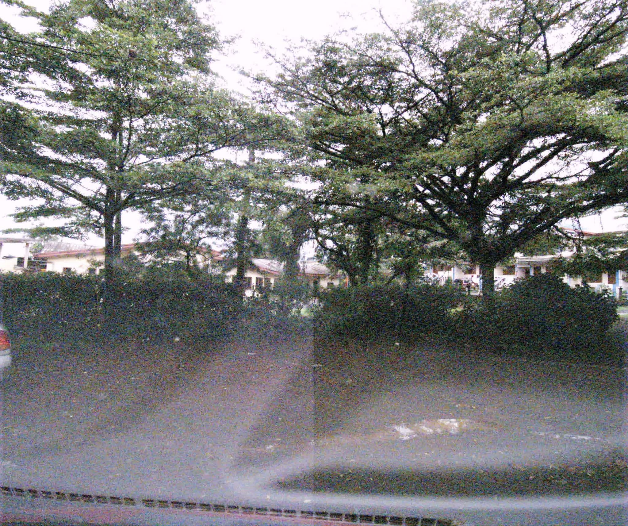 Street view near Hotel Seme Beach, Limbe — © sogefi (CC BY-SA · Mapillary)