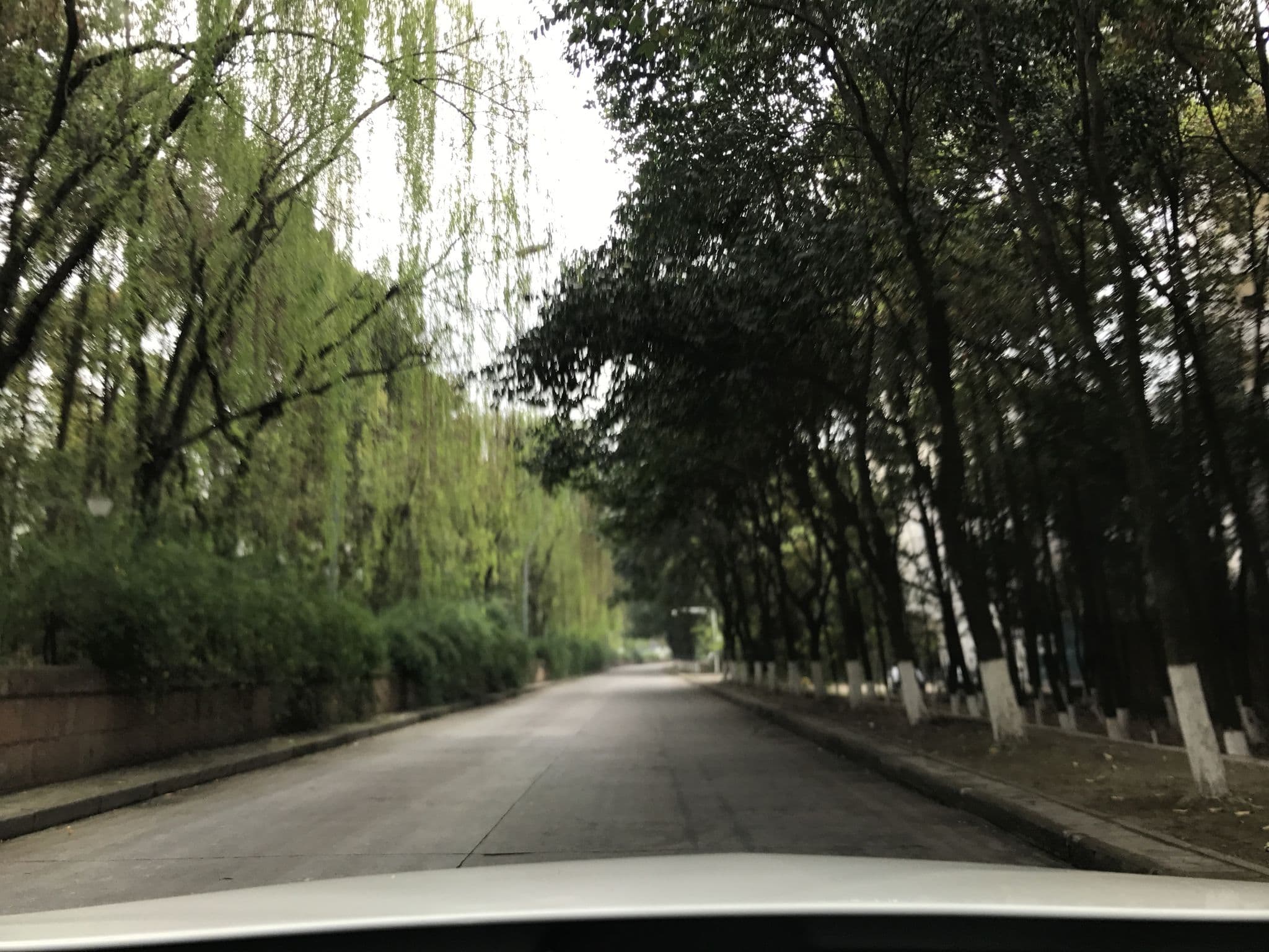 Street view near 众鑫商务宾馆, Mianyang — © yanfu (CC BY-SA · Mapillary)