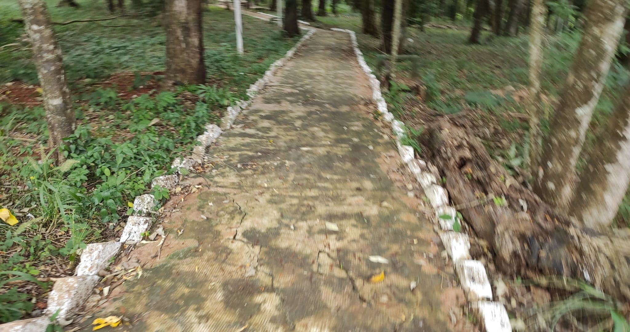 Street view near O2, Puerto Iguazú