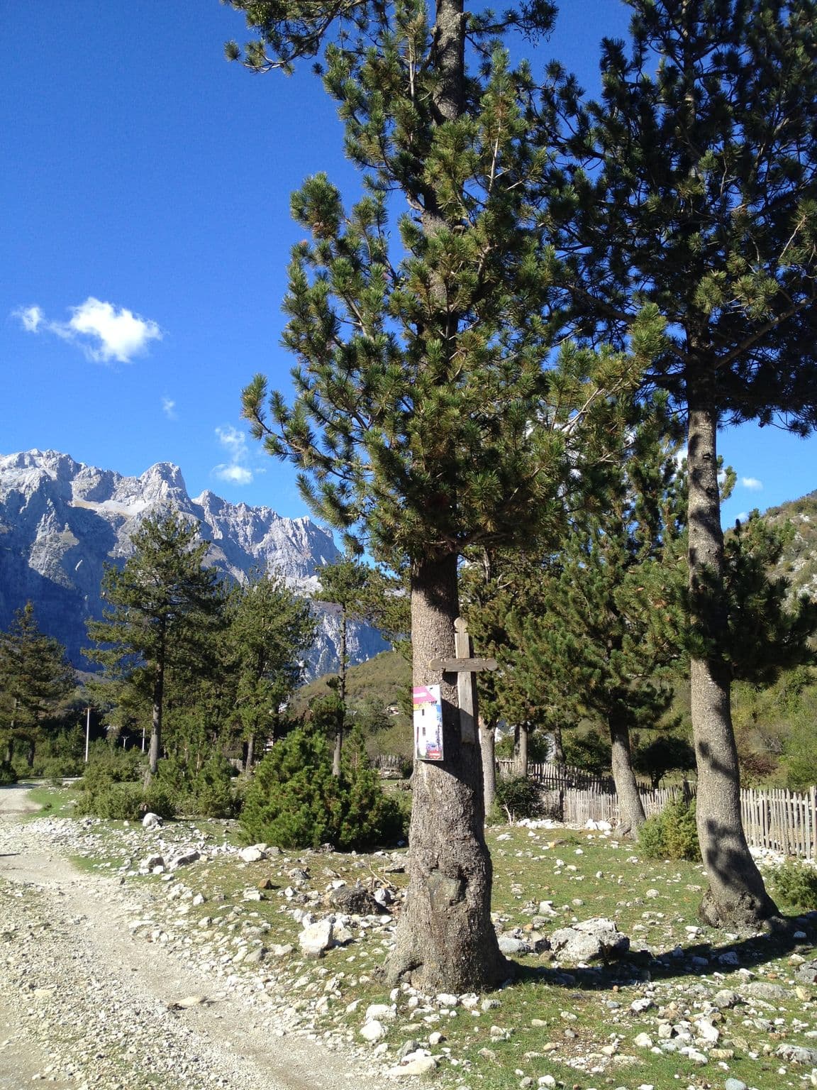 Street view near Bujtina Tinari, Bajram Curri — © rrustem_haradinaj (CC BY-SA · Mapillary)