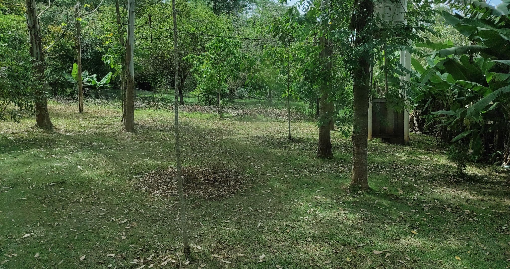 Street view near Camping Manuelotto, El Soberbio — © diegokrein (CC BY-SA · Mapillary)