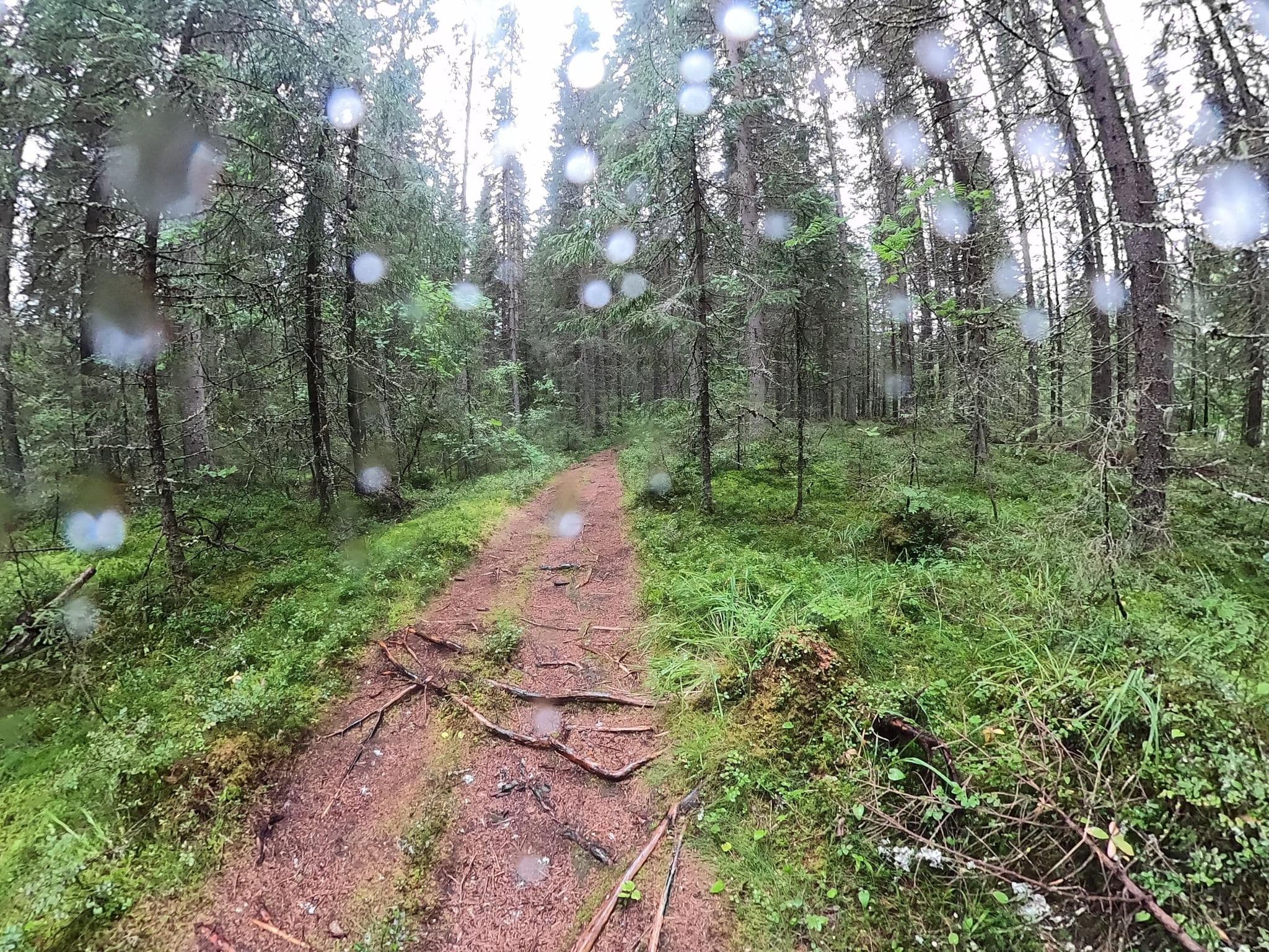 Street view near Varaustupa, Tuupovaara — © liikunta (CC BY-SA · Mapillary)