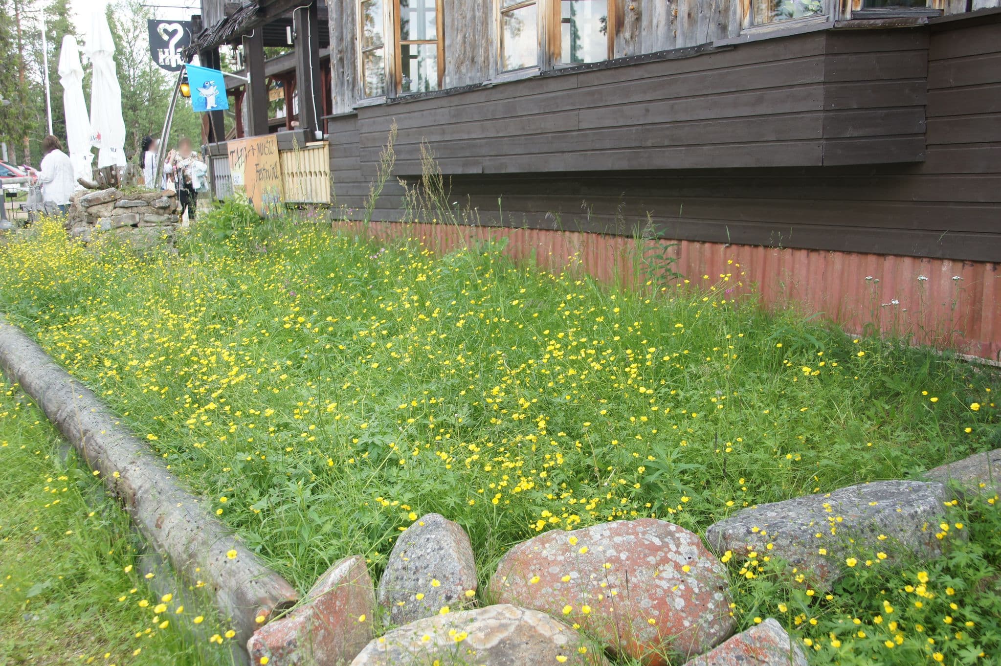 Street view near Tankavaara Gold Village, Ivalo