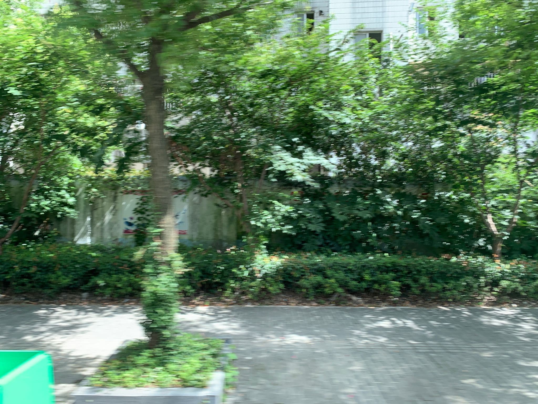 Street view near Wellsinn Business Hotel, Pudong — © pLyMiEwGpWDLryMacQzo (CC BY-SA · Mapillary)