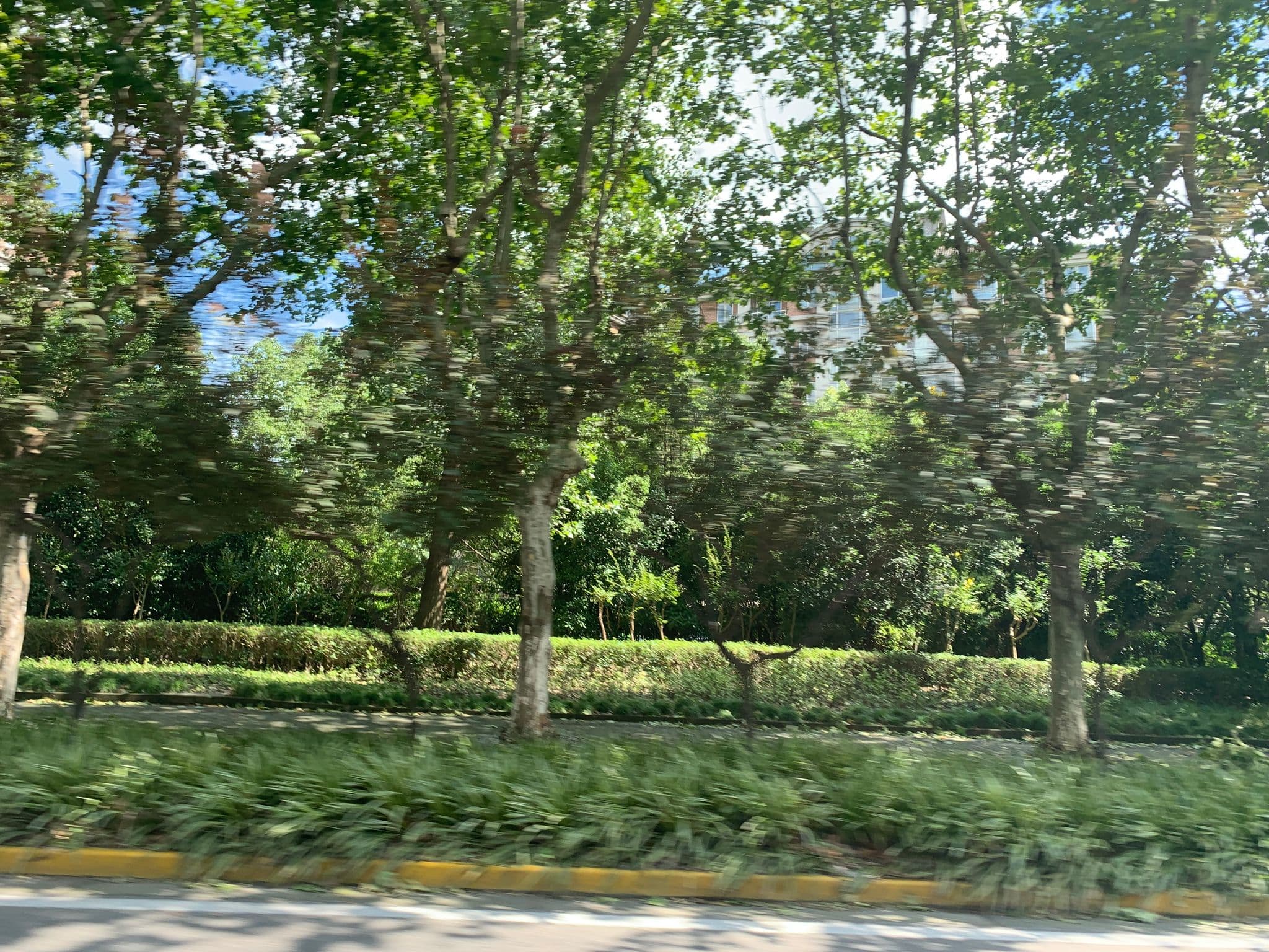 Street view near Grand Mercure Shanghai Century Park, Yangpu — © pLyMiEwGpWDLryMacQzo (CC BY-SA · Mapillary)