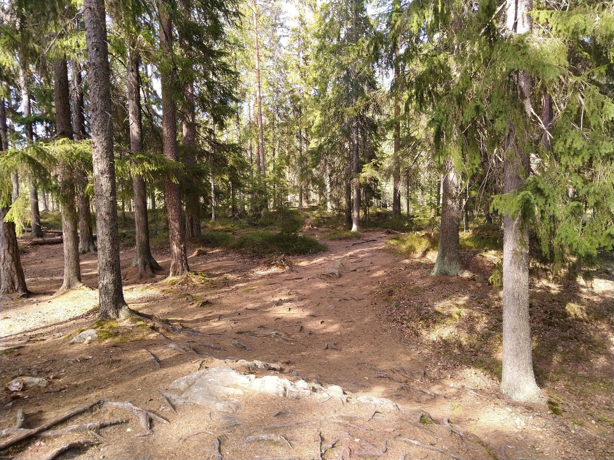 Street view near Iso Ruokejärvi, Ruovesi — © kino (CC BY-SA · Mapillary)