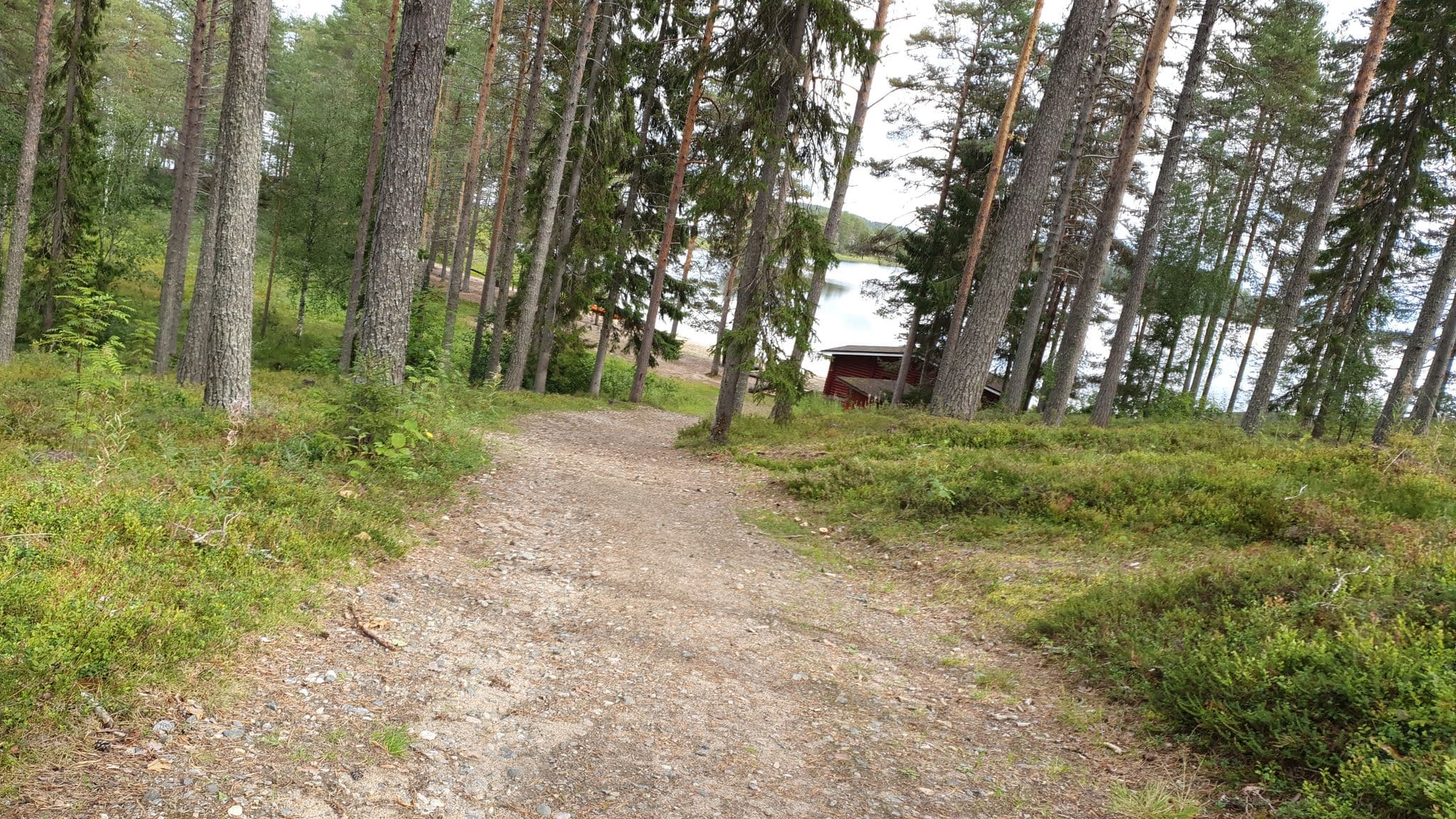 Street view near Aittamajoitus, Kuhmo — © houtari (CC BY-SA · Mapillary)