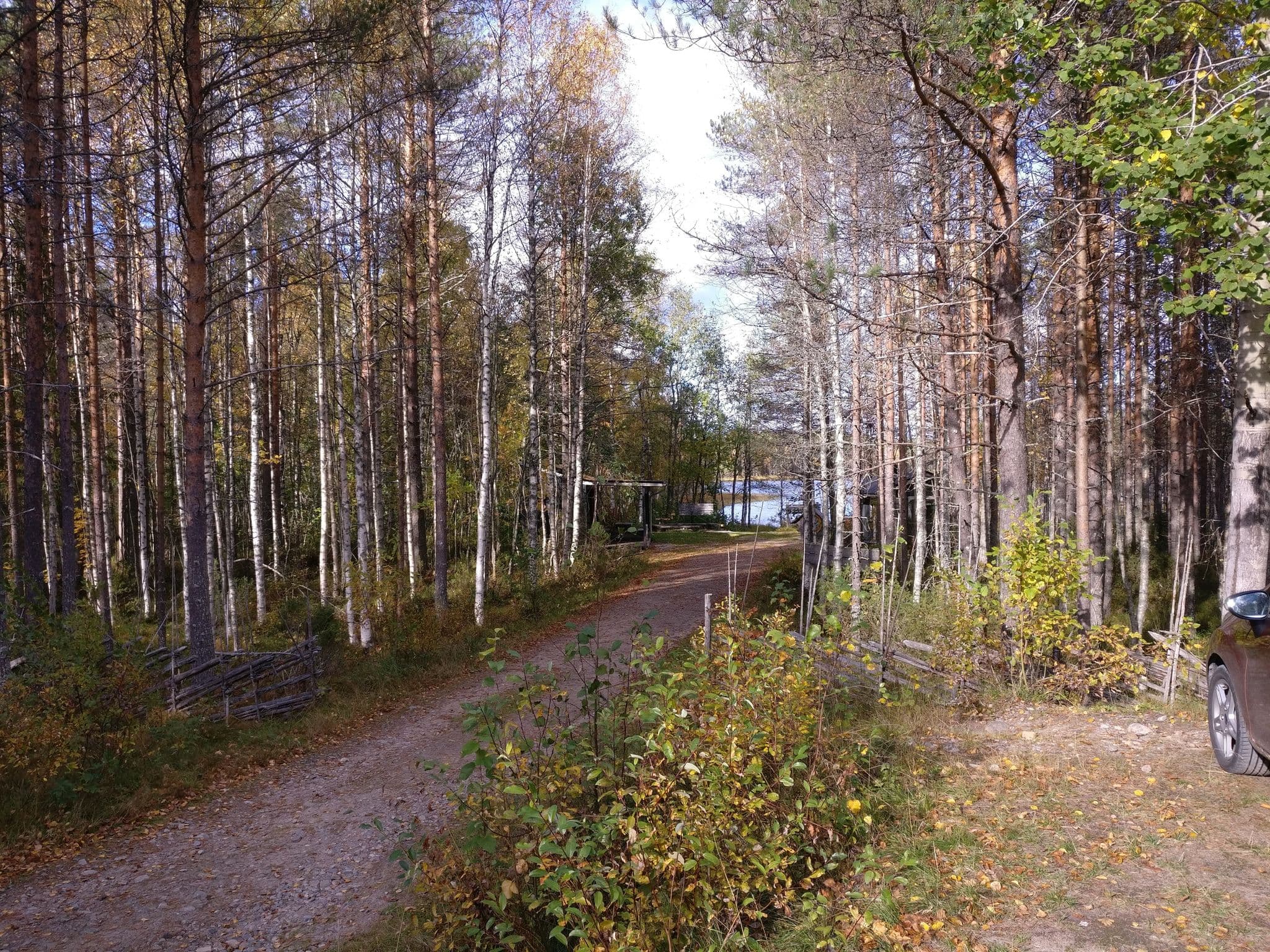 Street view near Sammakkotammi vuokratupa, Rautavaara — © snowden (CC BY-SA · Mapillary)