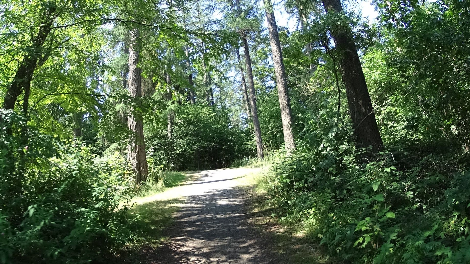 Street view near Aulangon Puistola, Hämeenlinna — © bluecross (CC BY-SA · Mapillary)