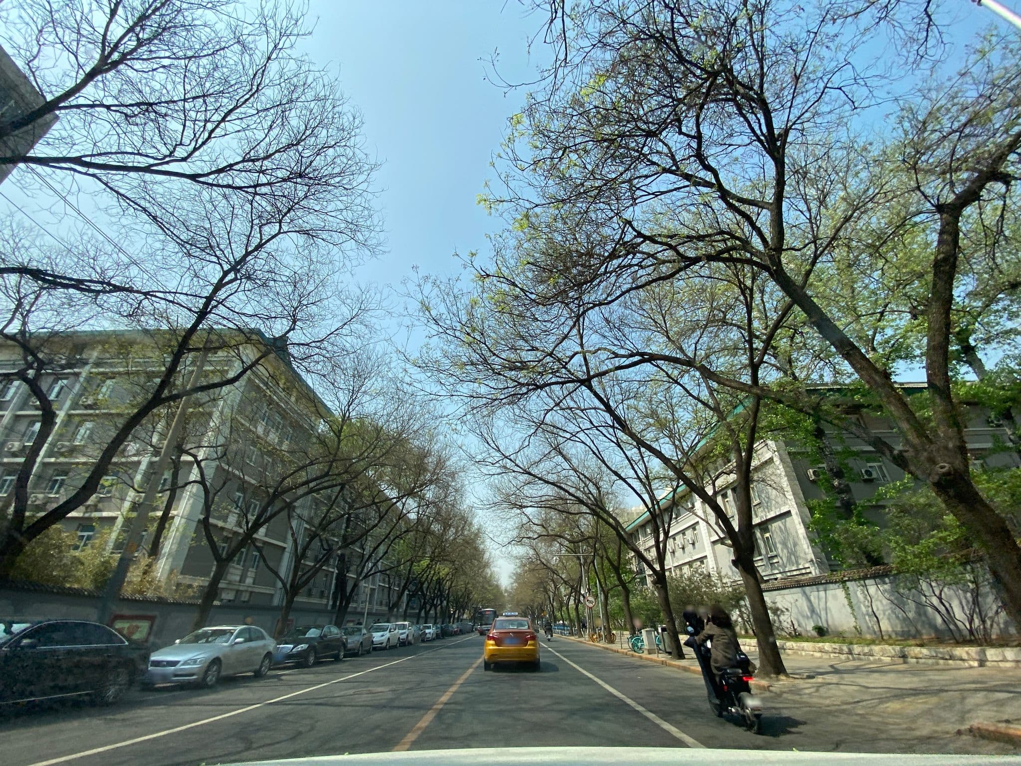 Street view near 417 公园, Beijing — © adirricor (CC BY-SA · Mapillary)