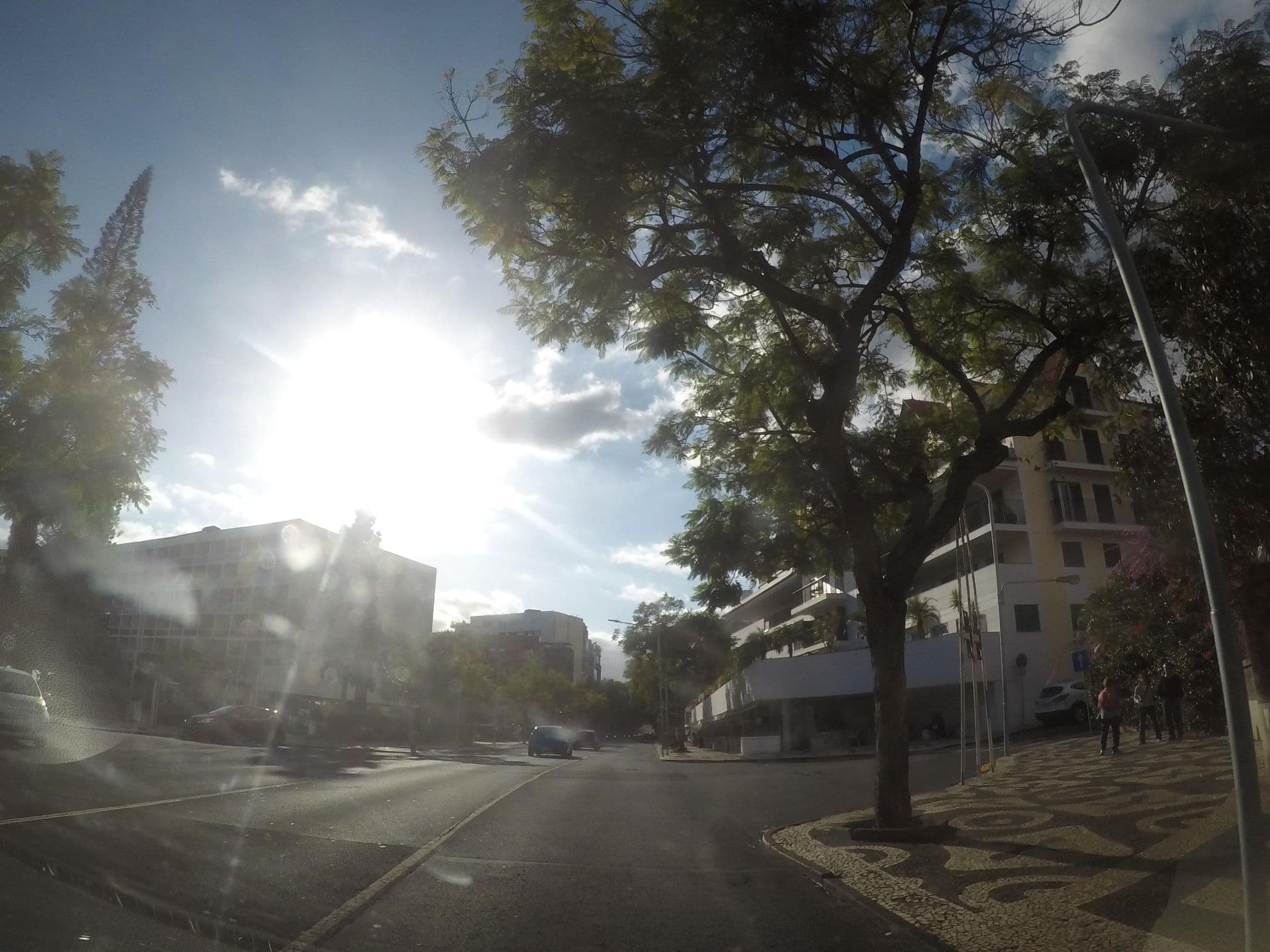Street view near Avenue Park, Santa Luzia — © nunocaldeira (CC BY-SA · Mapillary)