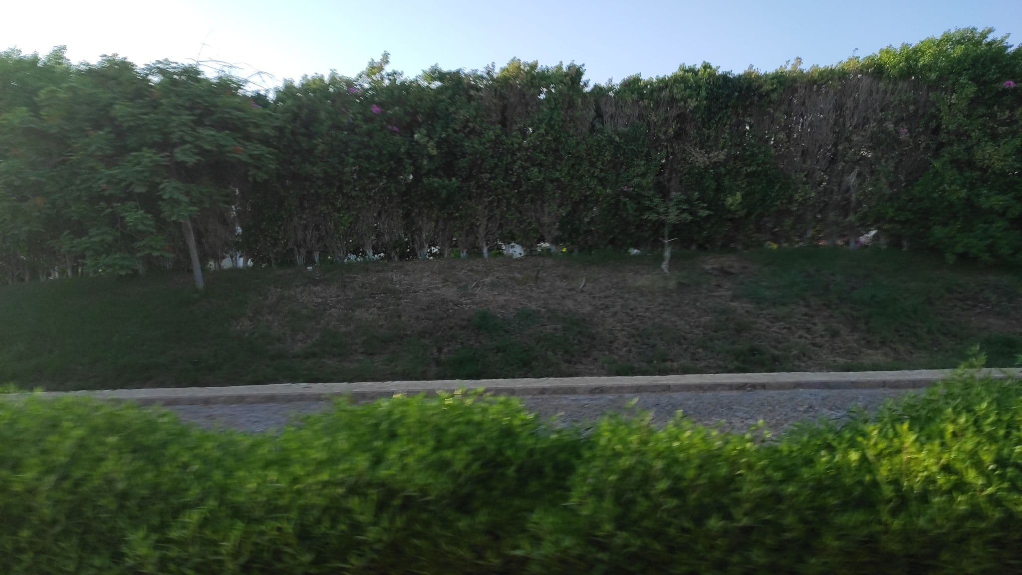 Street view near Le Royale Sonesta Collection Luxury Resort Sharm El Sheikh, Sharm el-Sheikh — © bezdna84 (CC BY-SA · Mapillary)