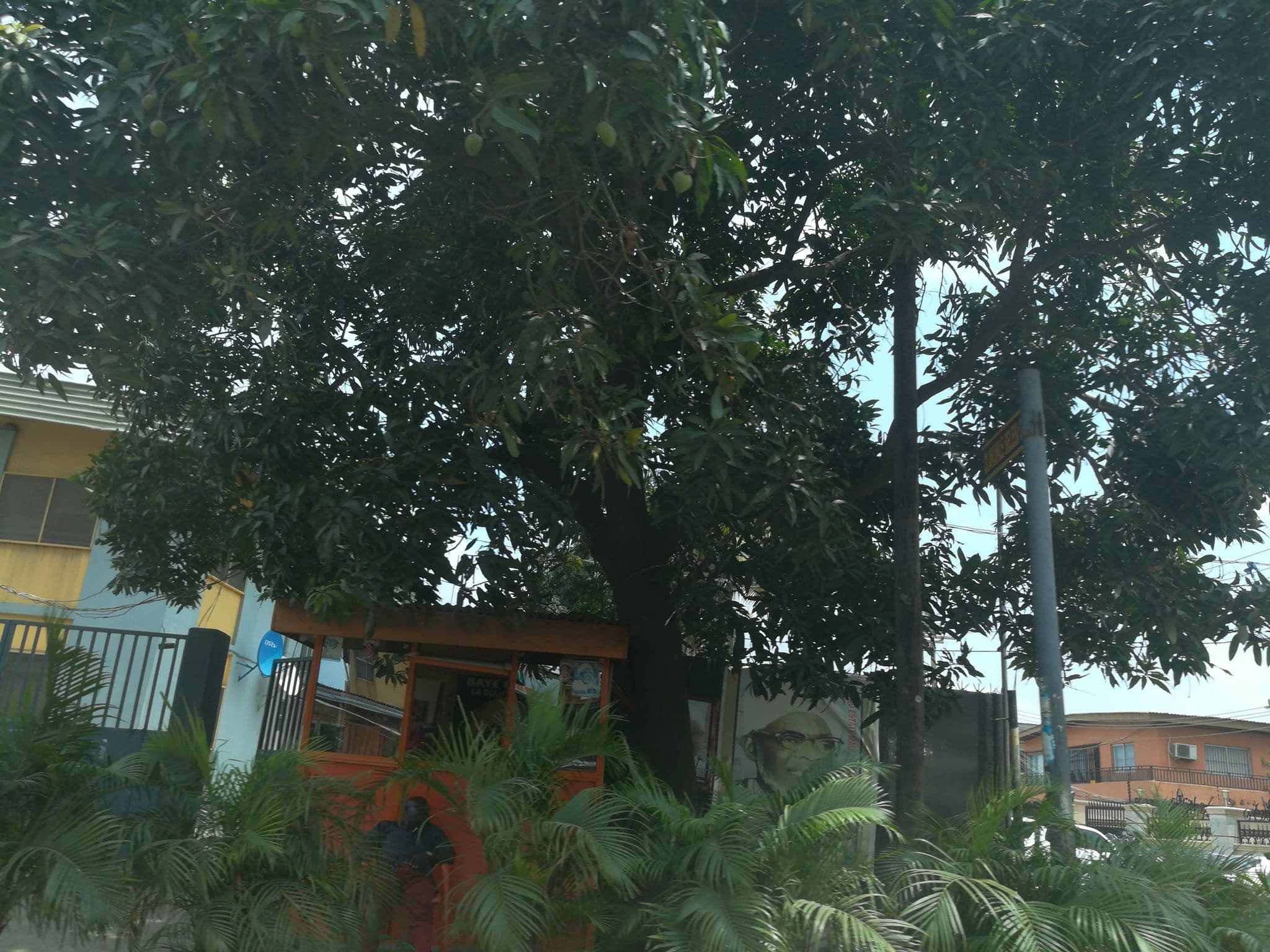 Street view near Chamcce Hotel & Suites, Oshodi — © ralebipim (CC BY-SA · Mapillary)