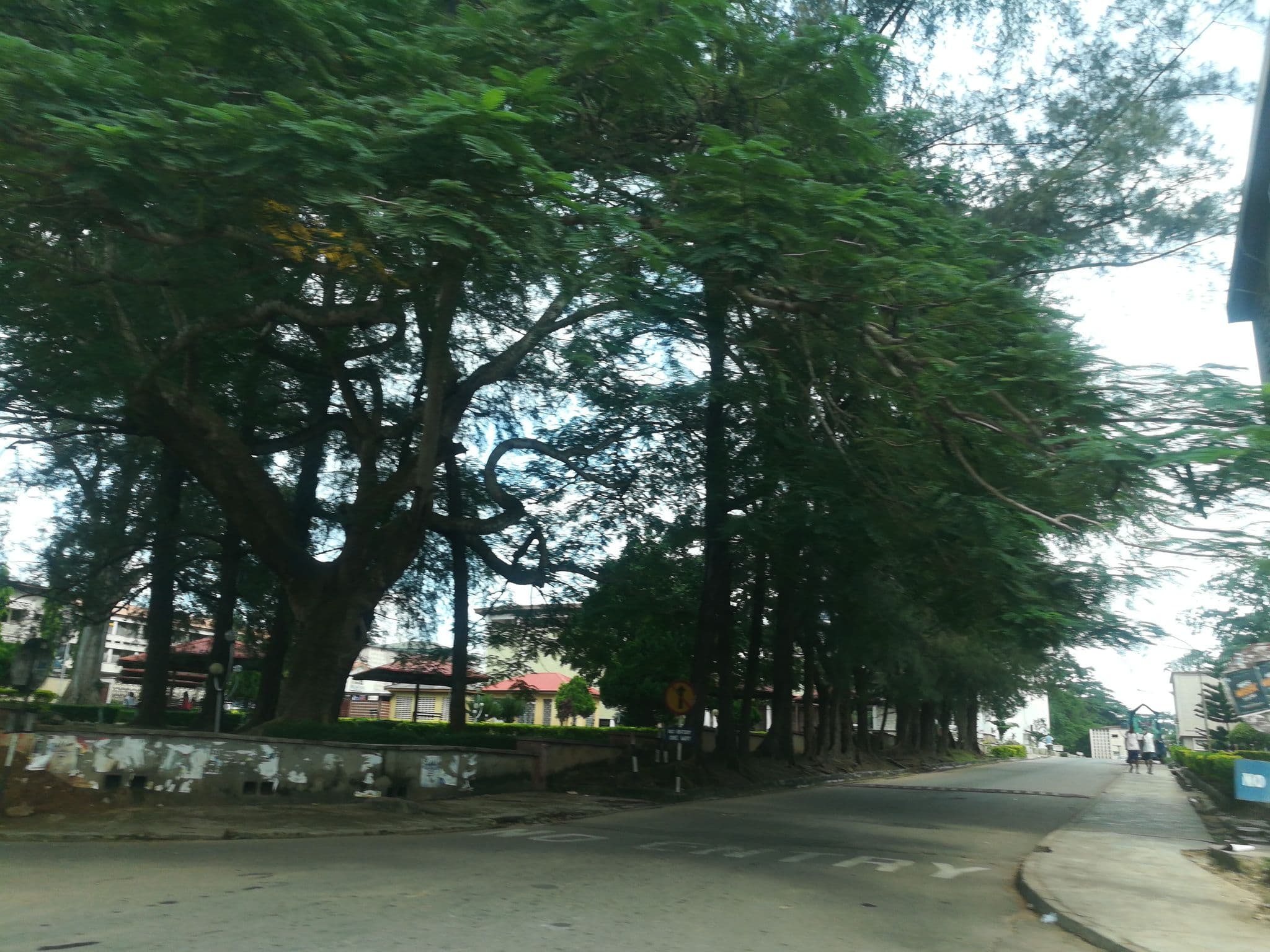 Street view near Alumni Guest House, UI, Ibadan — © ralebipim (CC BY-SA · Mapillary)
