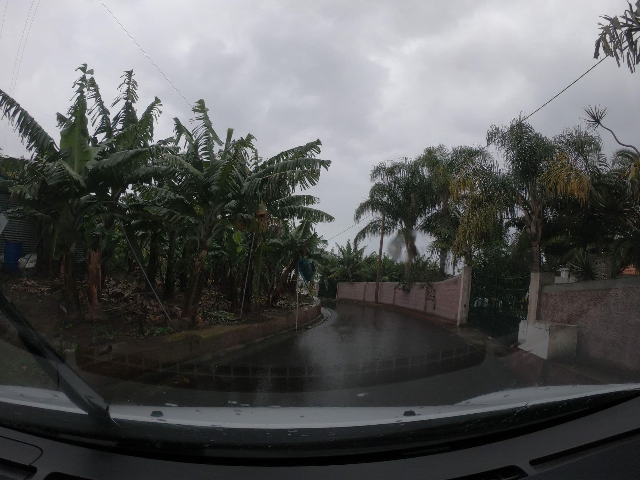 Street view near Casa Anoneiras, Arco da Calheta — © filipesilva (CC BY-SA · Mapillary)