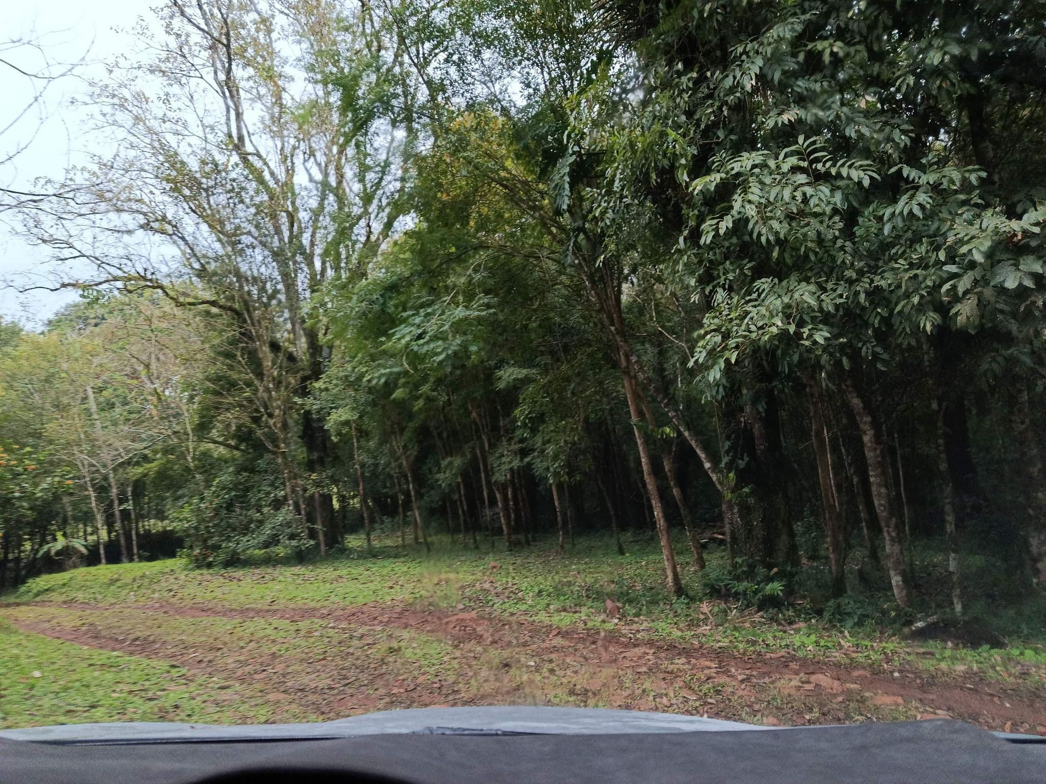 Street view near Cabaña Coati Lodge, El Soberbio — © carlosbrys (CC BY-SA · Mapillary)