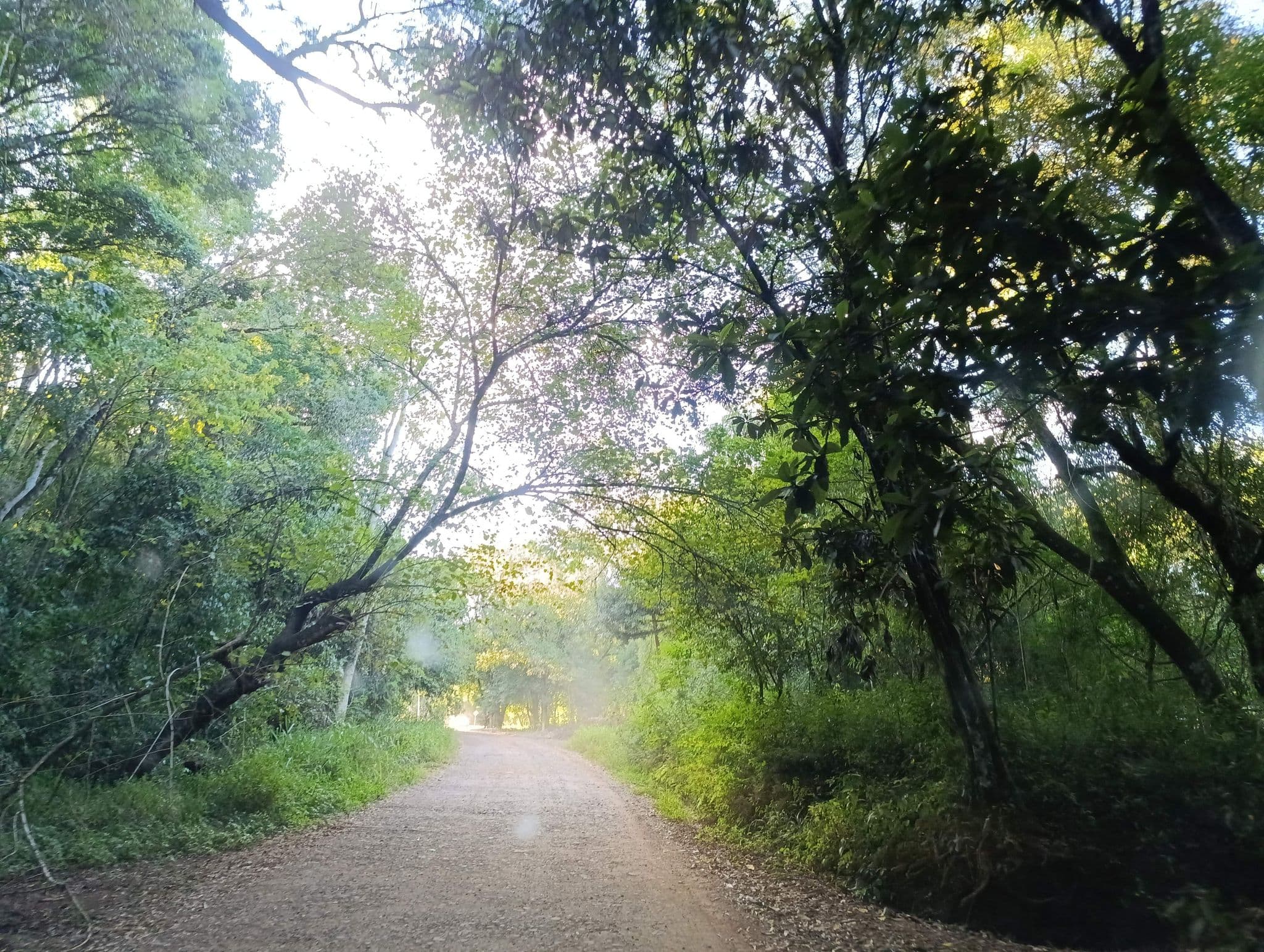 Street view near Camping El Recreo, Capioví — © diegokrein (CC BY-SA · Mapillary)