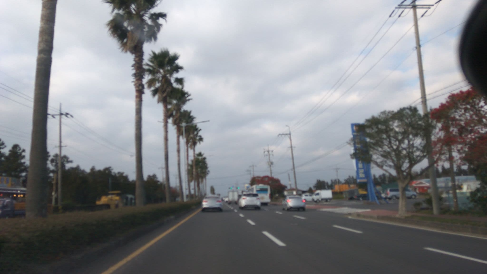 Street view near 하울하우스, Seogwipo — © eneerhut (CC BY-SA · Mapillary)