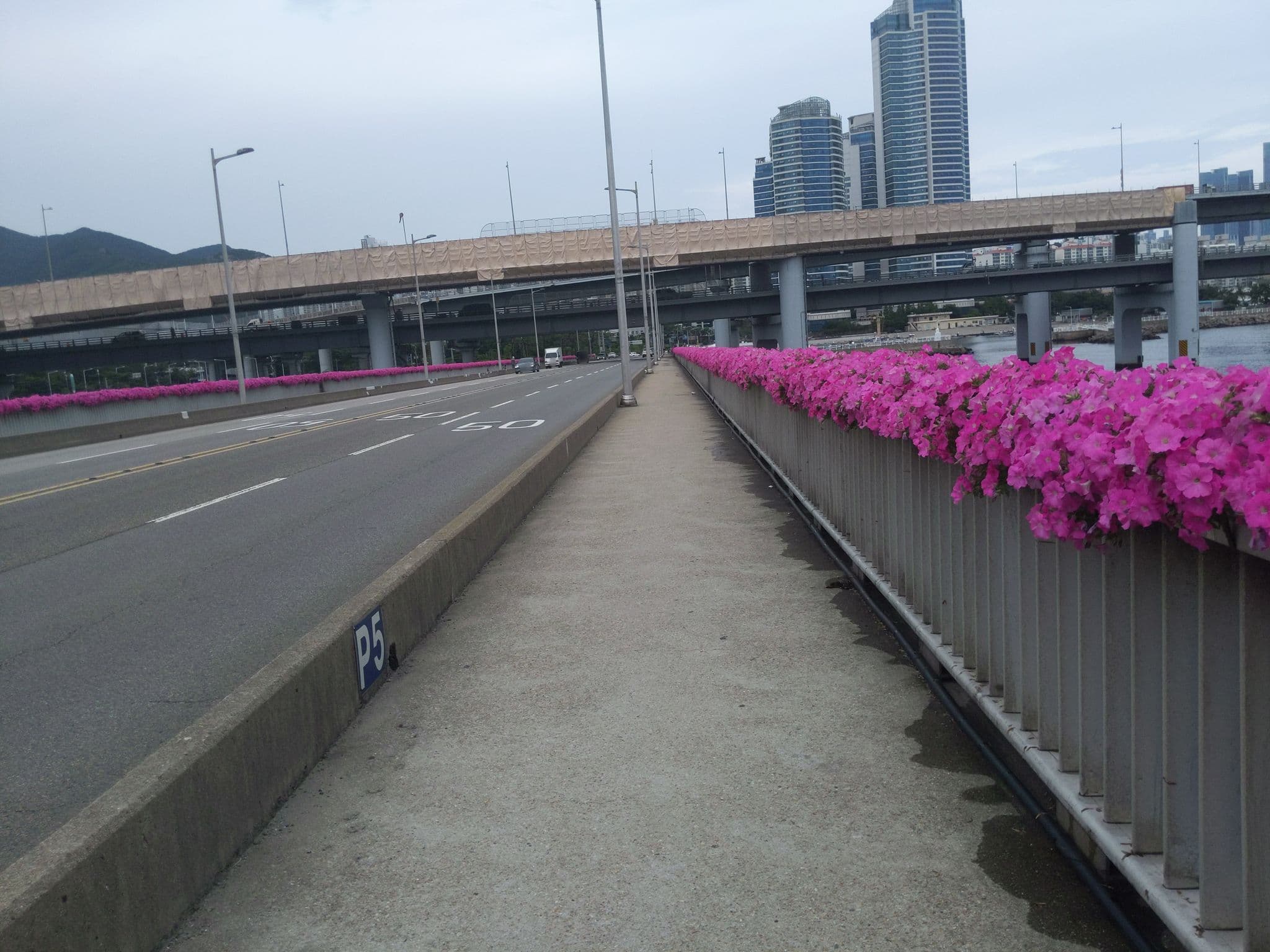 Street view near Seaside Beach Inn, Busan — © velaia (CC BY-SA · Mapillary)