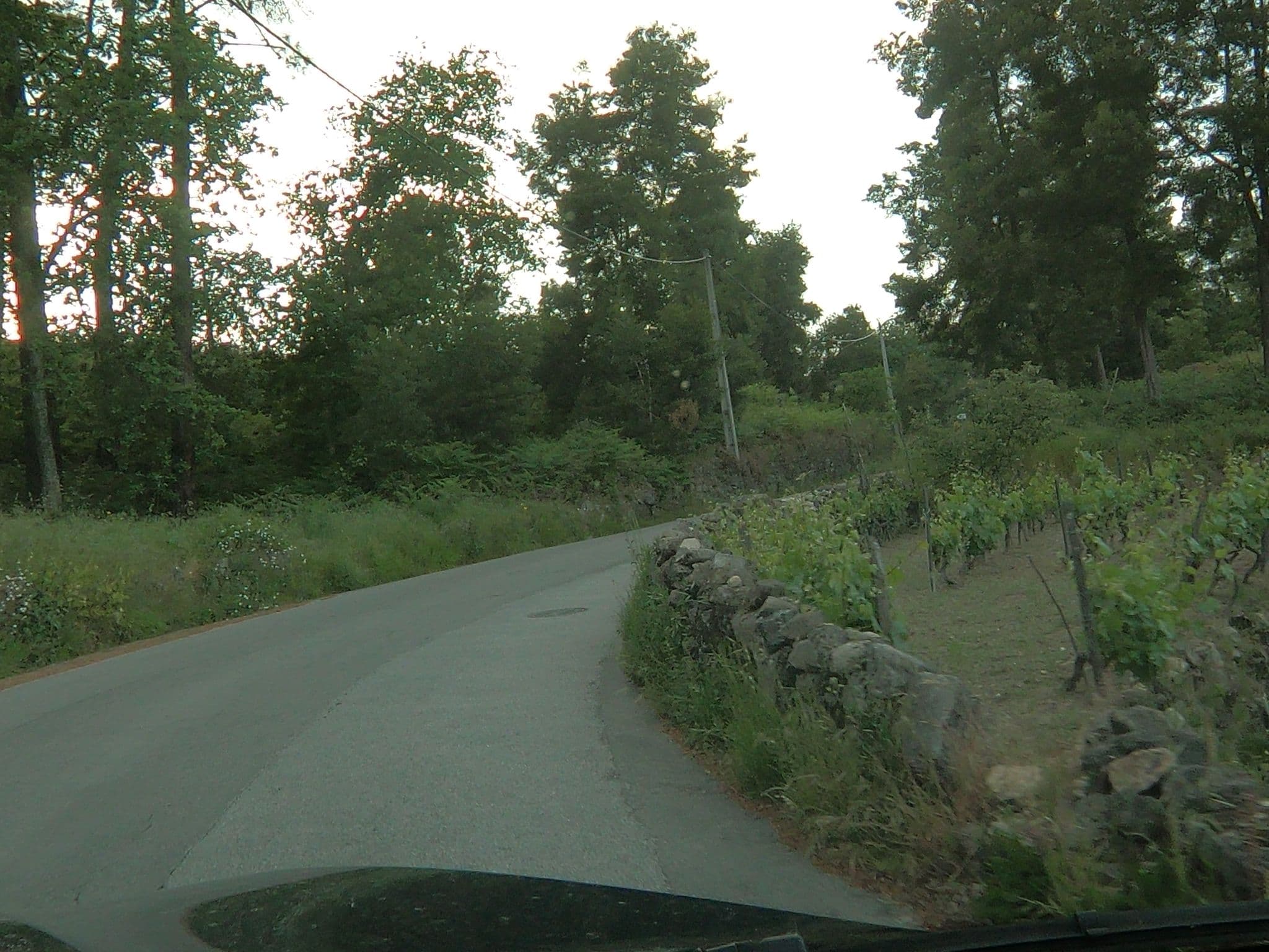 Street view near Terra Nossa, Vila Real — © sanjorgepinho (CC BY-SA · Mapillary)