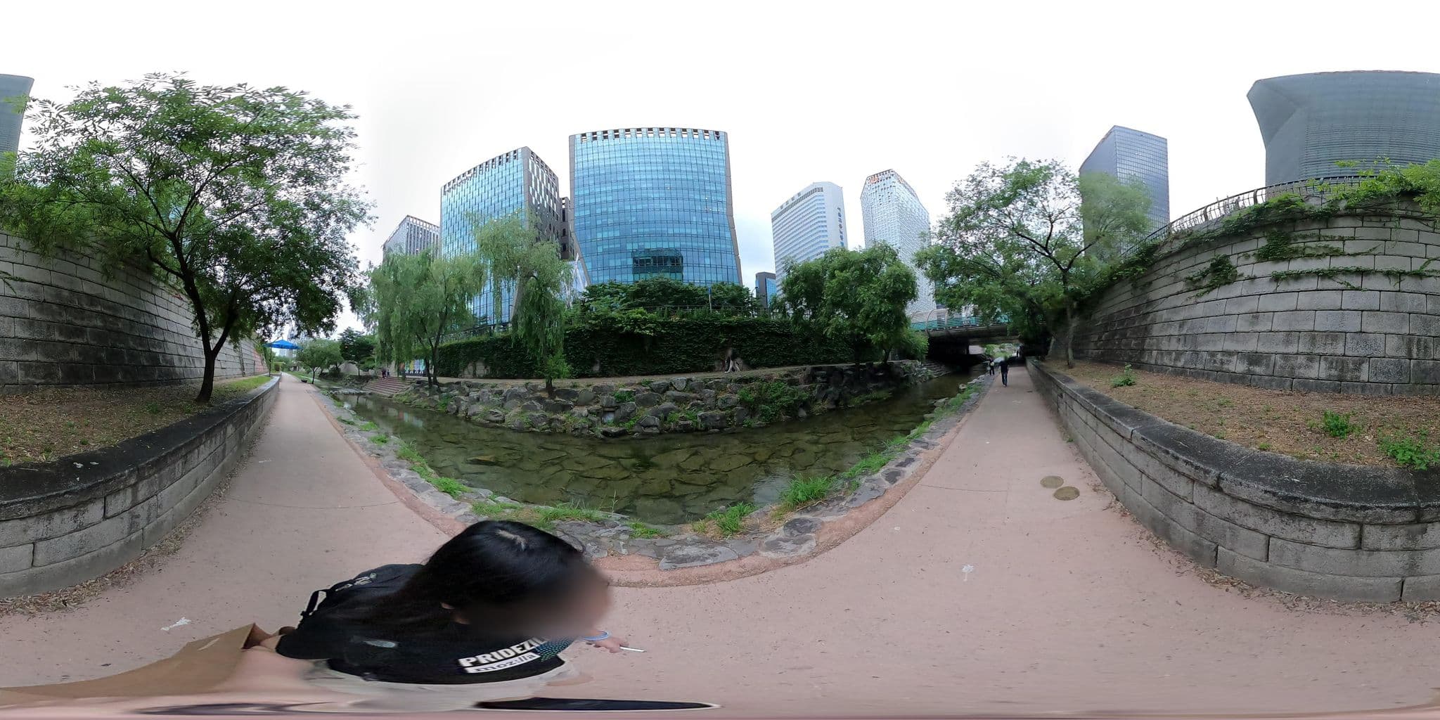 Street view near Goodstay Greentel Hotel, Seoul — © lisbethw1130 (CC BY-SA · Mapillary)