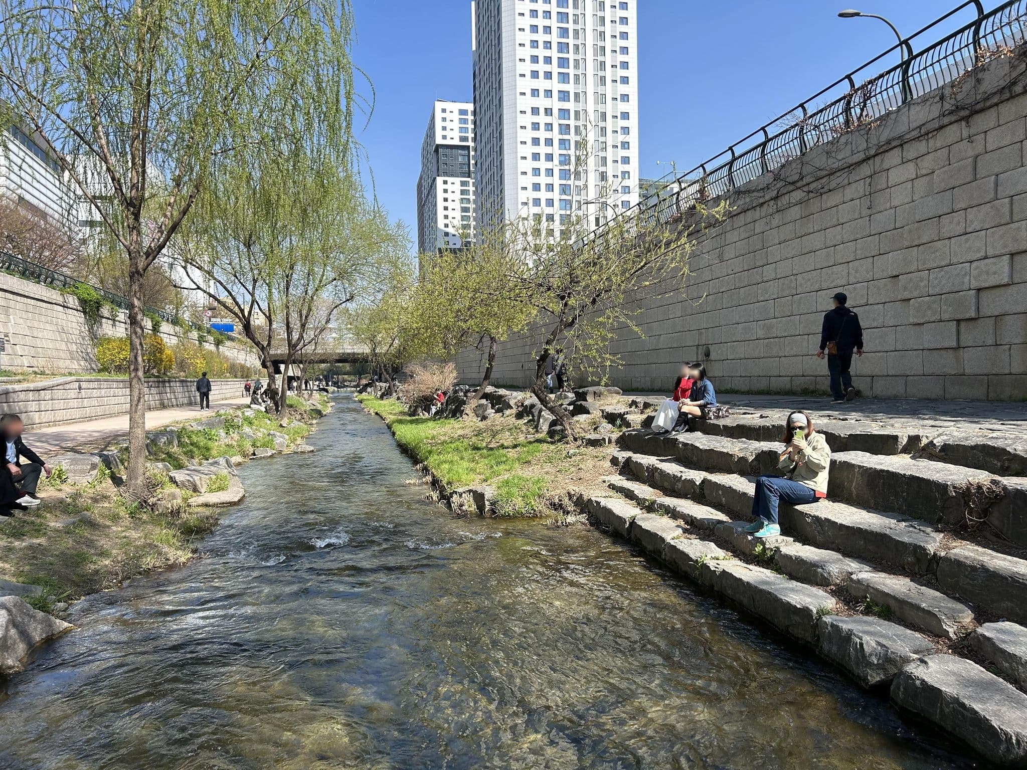 Street view near 서튼호텔, Seoul — © ruslan_fat (CC BY-SA · Mapillary)