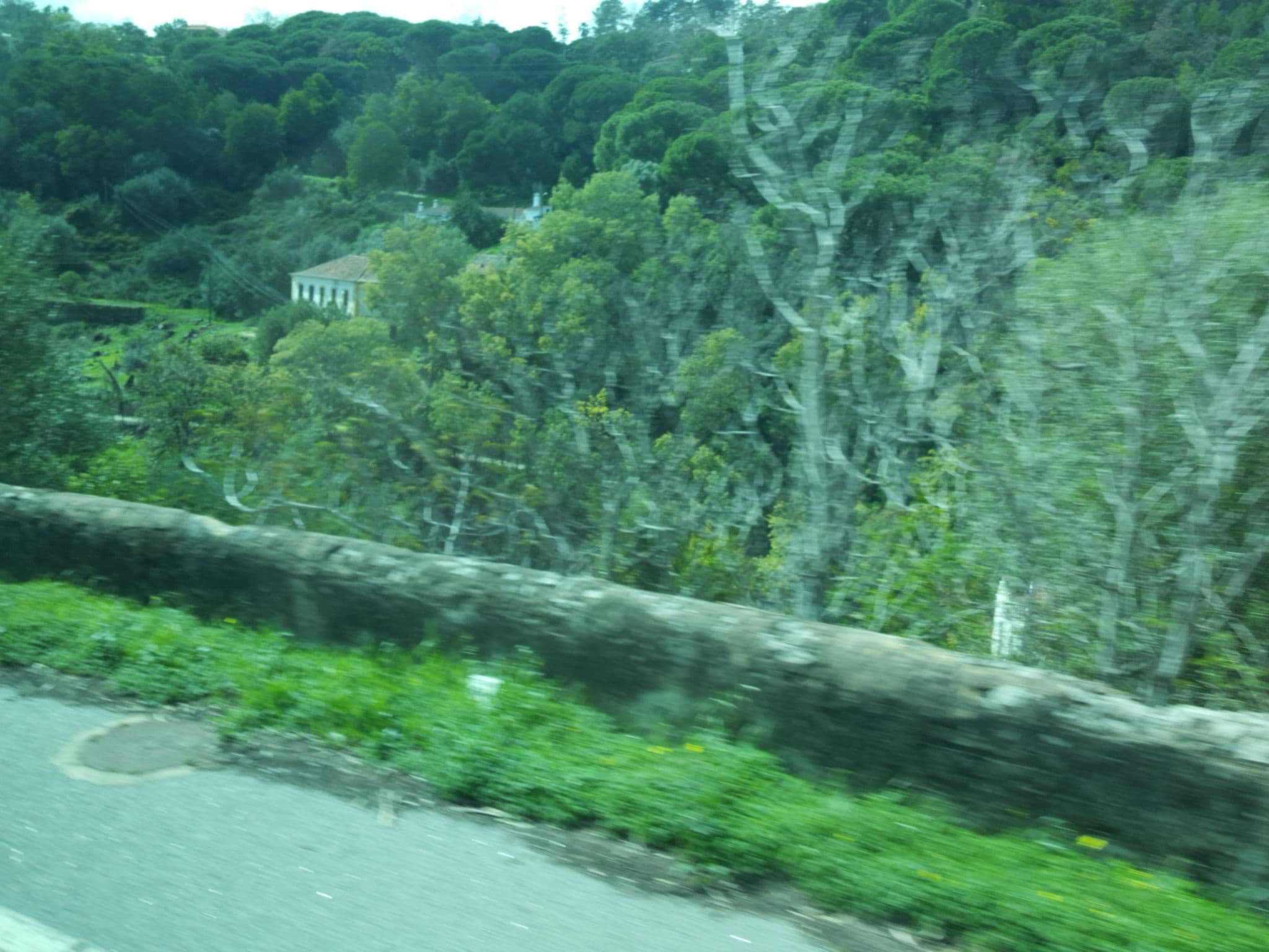 Street view near Hotel Central, Monchique — © hobgoblin (CC BY-SA · Mapillary)