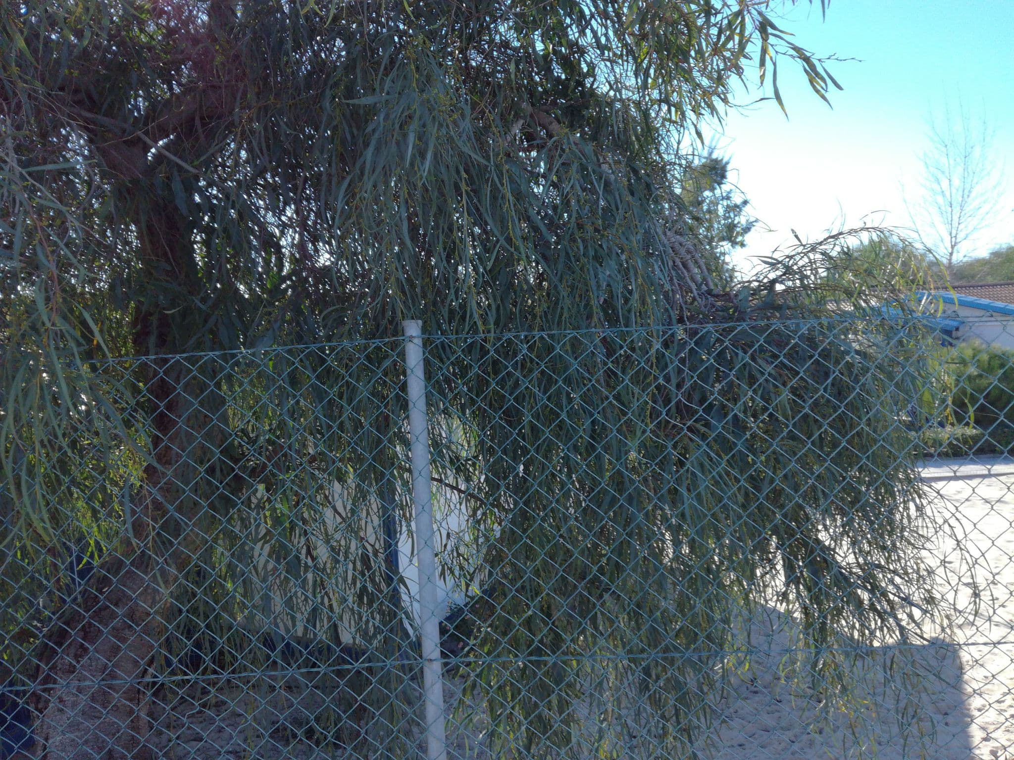 Street view near Parque de Campismo Orbitur Ilha de Armona, Olhão — © baptistemm (CC BY-SA · Mapillary)