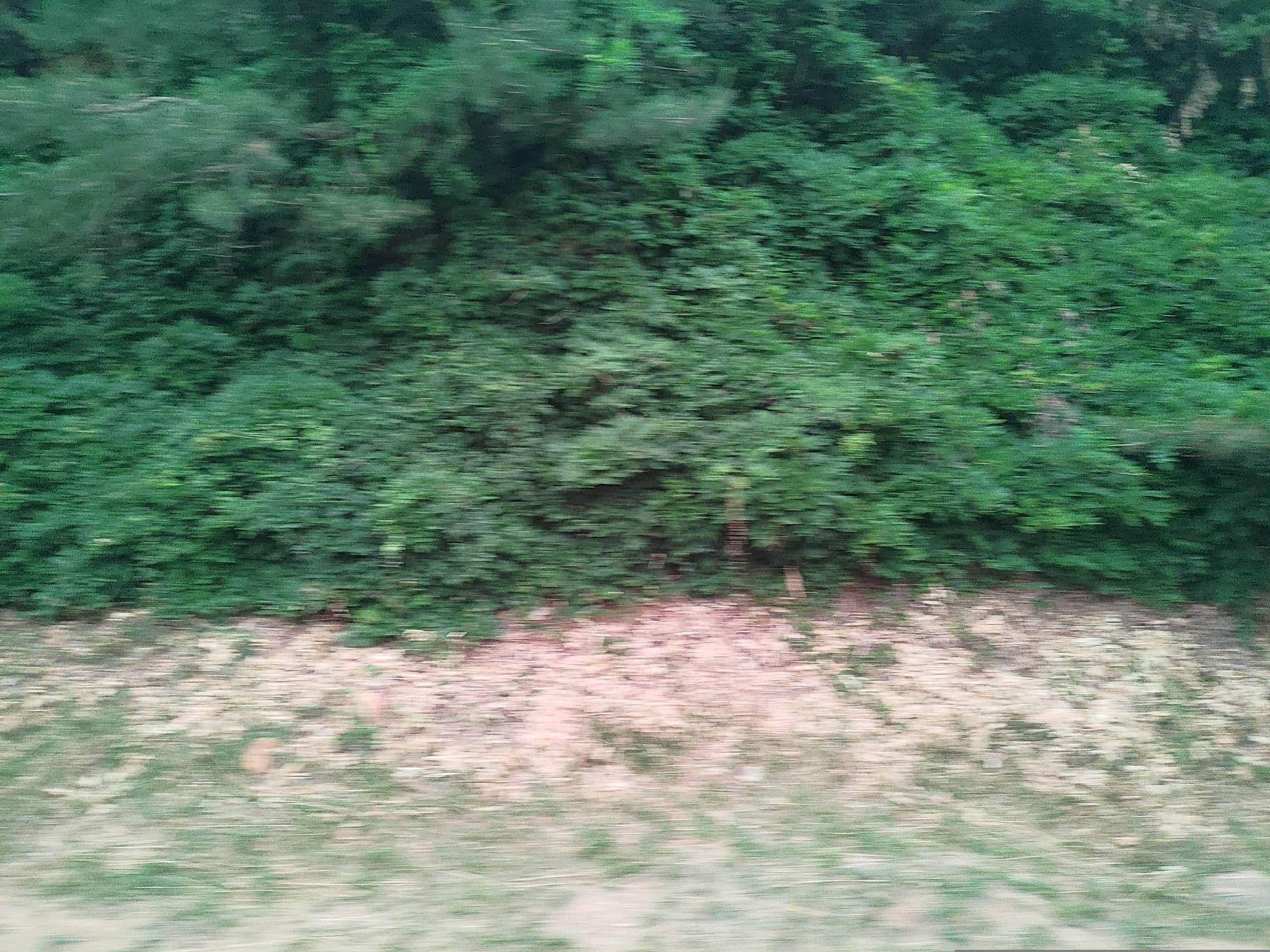 Street view near 하슬라아트월드뮤지엄호텔, Gangneung — © ChenJJ (CC BY-SA · Mapillary)