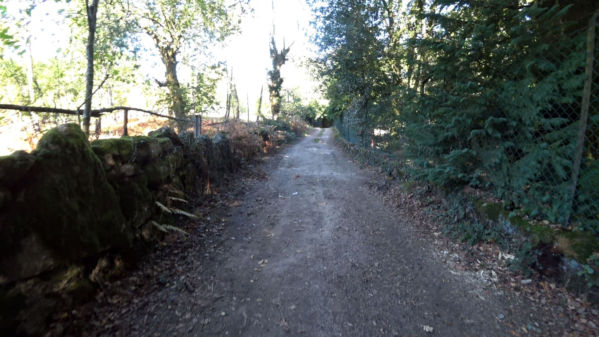 Street view near Parque de Campismo de Cerdeira, Vieira do Minho — © mariocarneiro (CC BY-SA · Mapillary)