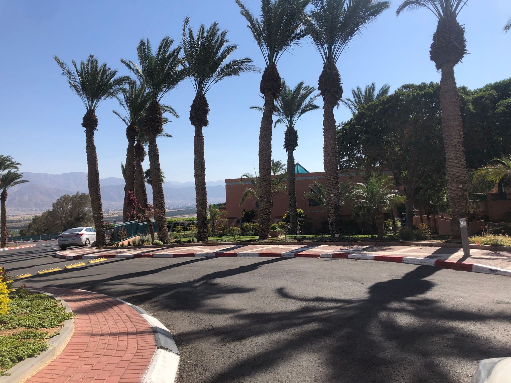 Street view near Magic Sunrise Club Hotel Eilat, Eilat — © guyseger (CC BY-SA · Mapillary)