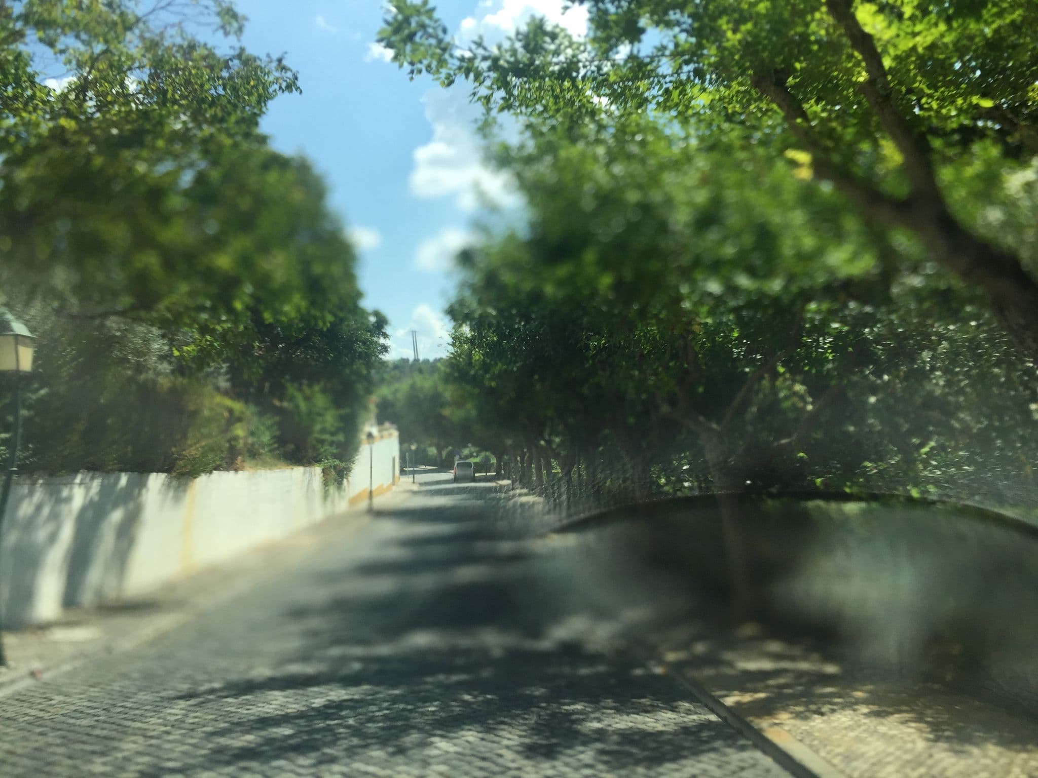 Street view near Parque de Campismo e Caravanismo de Constância, Praia do Ribatejo — © ptmap (CC BY-SA · Mapillary)