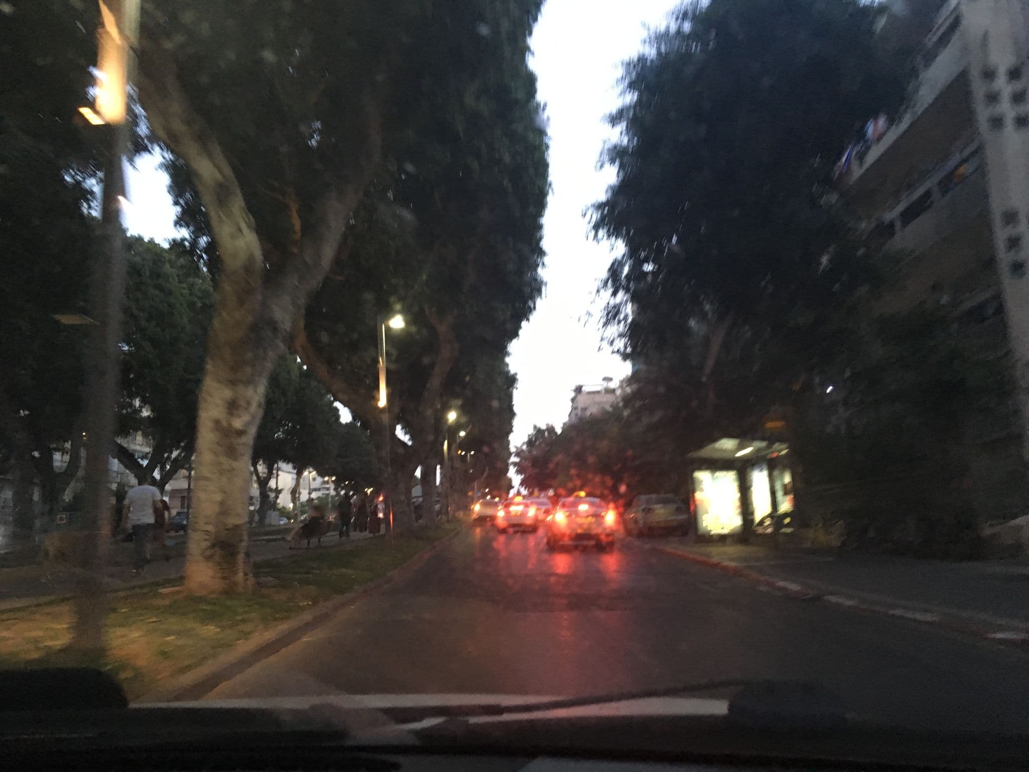Street view near אוהל 84, Tel Aviv — © danielhal (CC BY-SA · Mapillary)