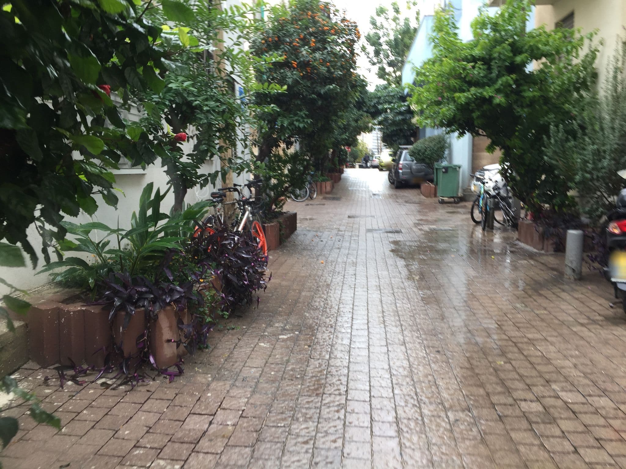 Street view near Peer Boutique Hotel, Tel Aviv — © richlv (CC BY-SA · Mapillary)