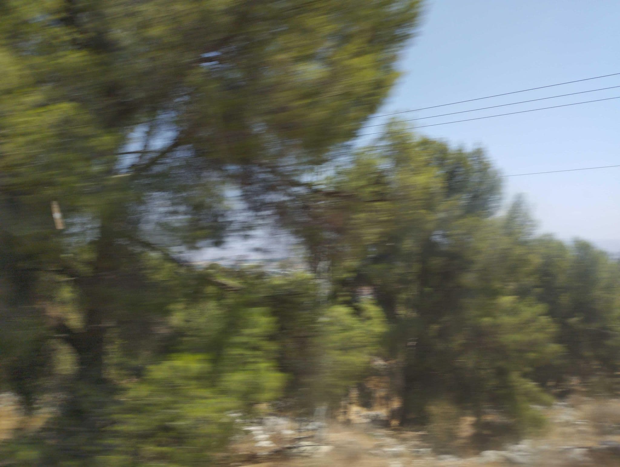 Street view near בקתה בנוף, Rosh Pinna — © olegsernitsky (CC BY-SA · Mapillary)