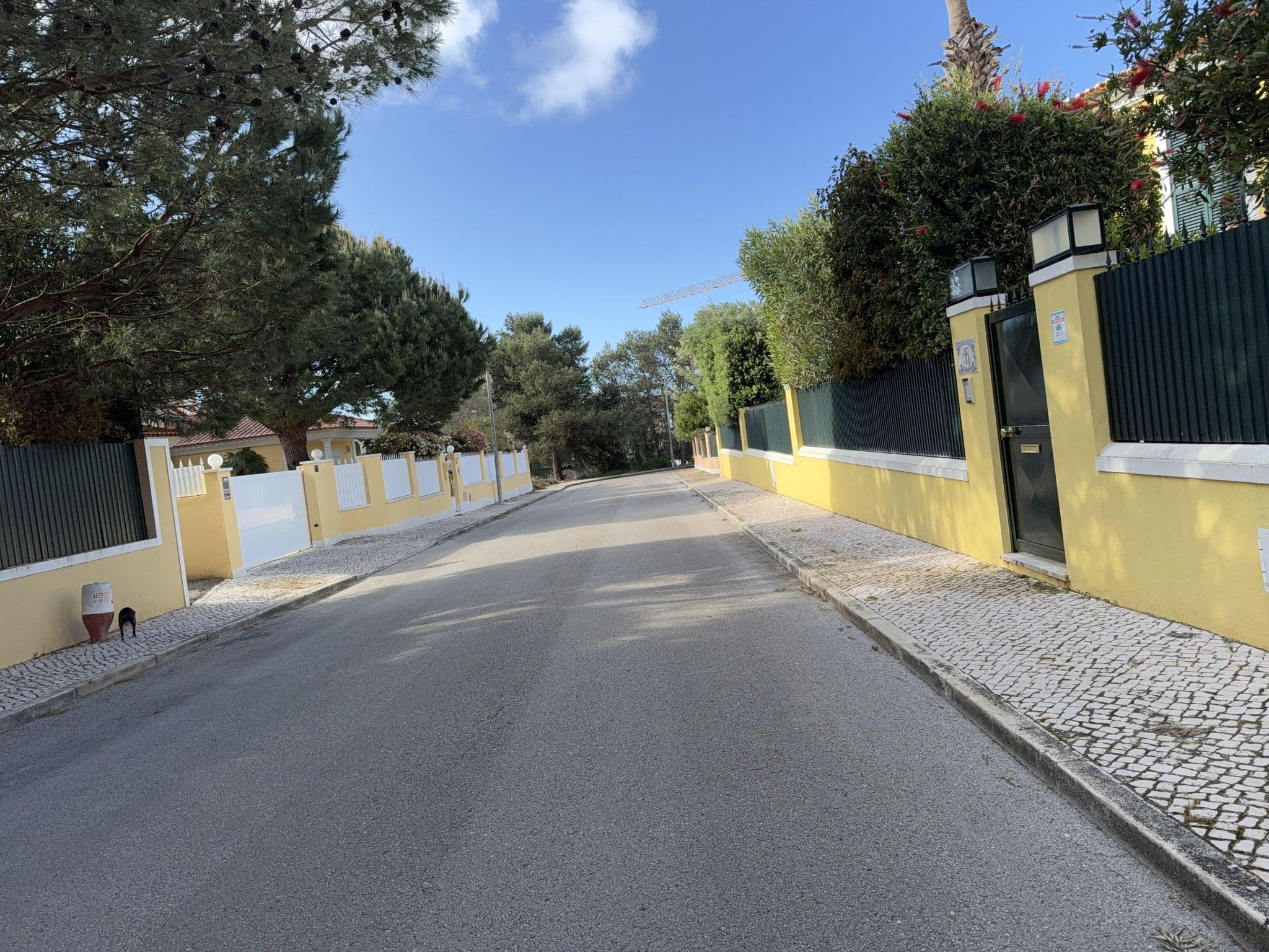 Street view near Casa da Luisa, Alojamento Local, Cobre — © RSTQ (CC BY-SA · Mapillary)