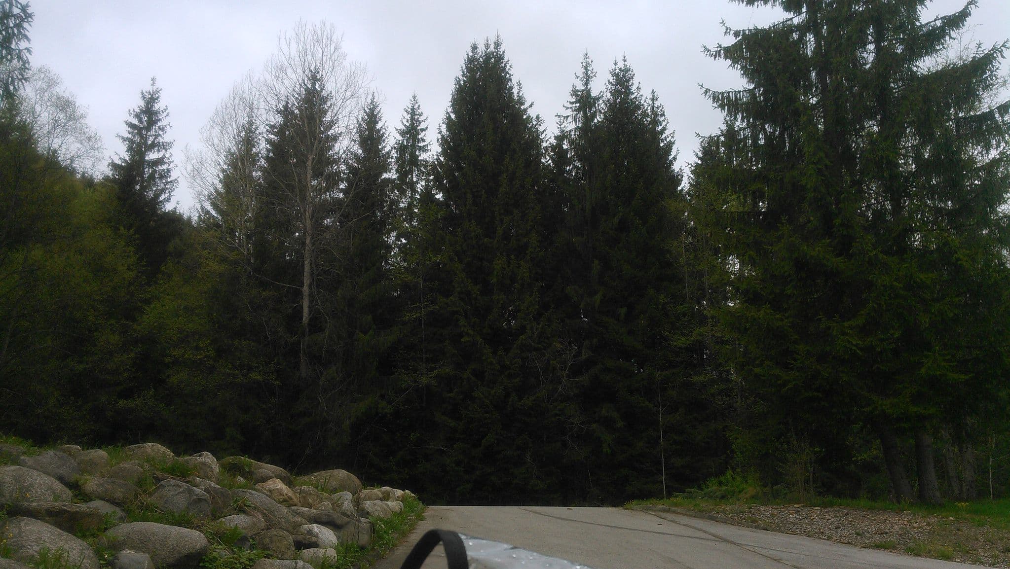 Street view near pinus apartments, Valaská — © michalp (CC BY-SA · Mapillary)