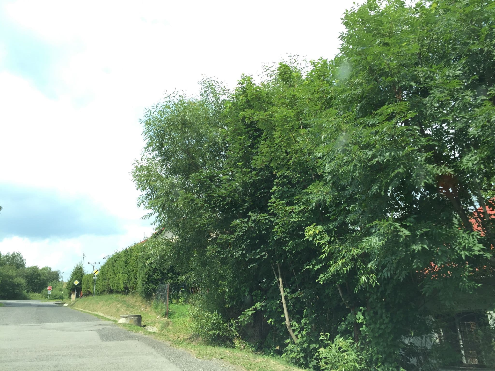 Street view near Villa Gold, Nová Lesná — © richlv (CC BY-SA · Mapillary)