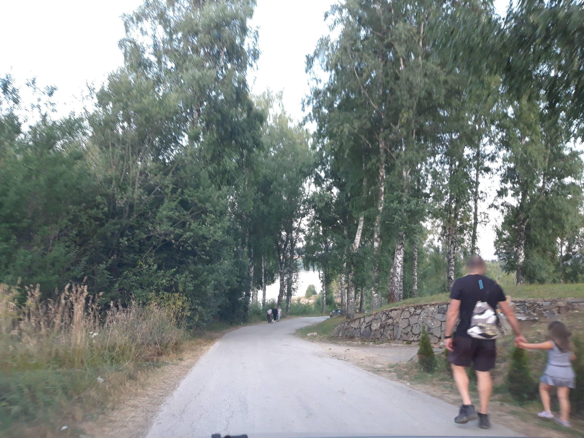 Street view near Vlasina ***, Radovnica — © fivewho (CC BY-SA · Mapillary)